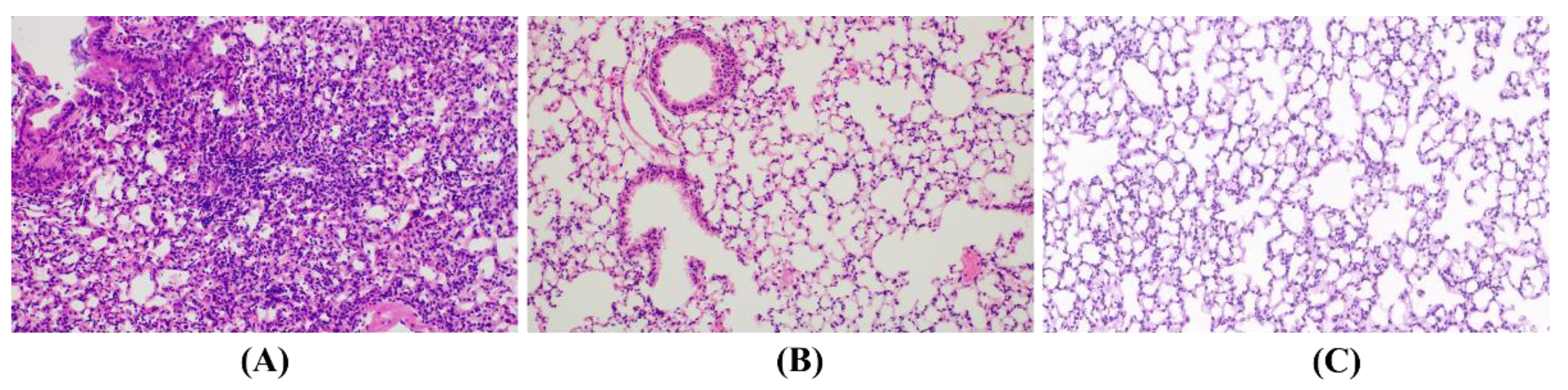 Applsci 13 04253 g004