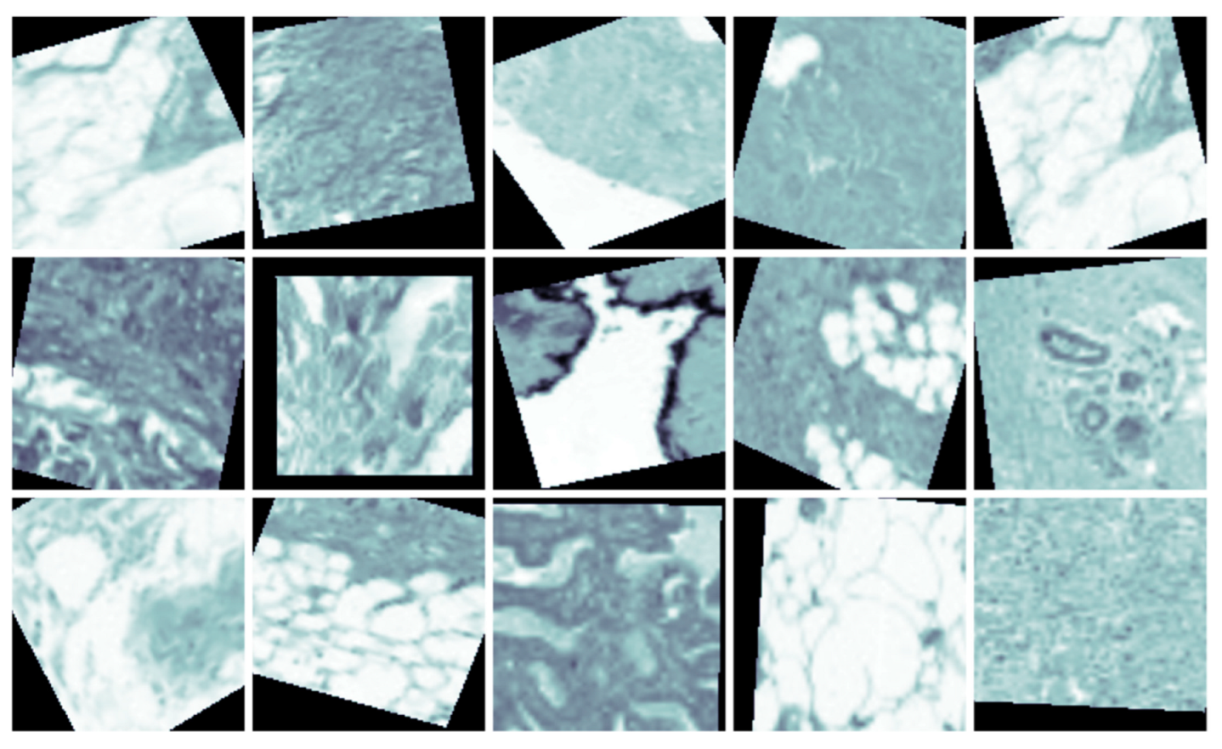 Applsci 13 04255 g005