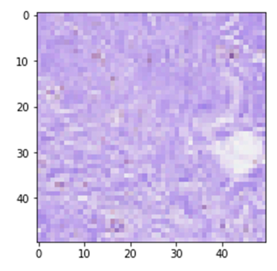 Applsci 13 04255 g006