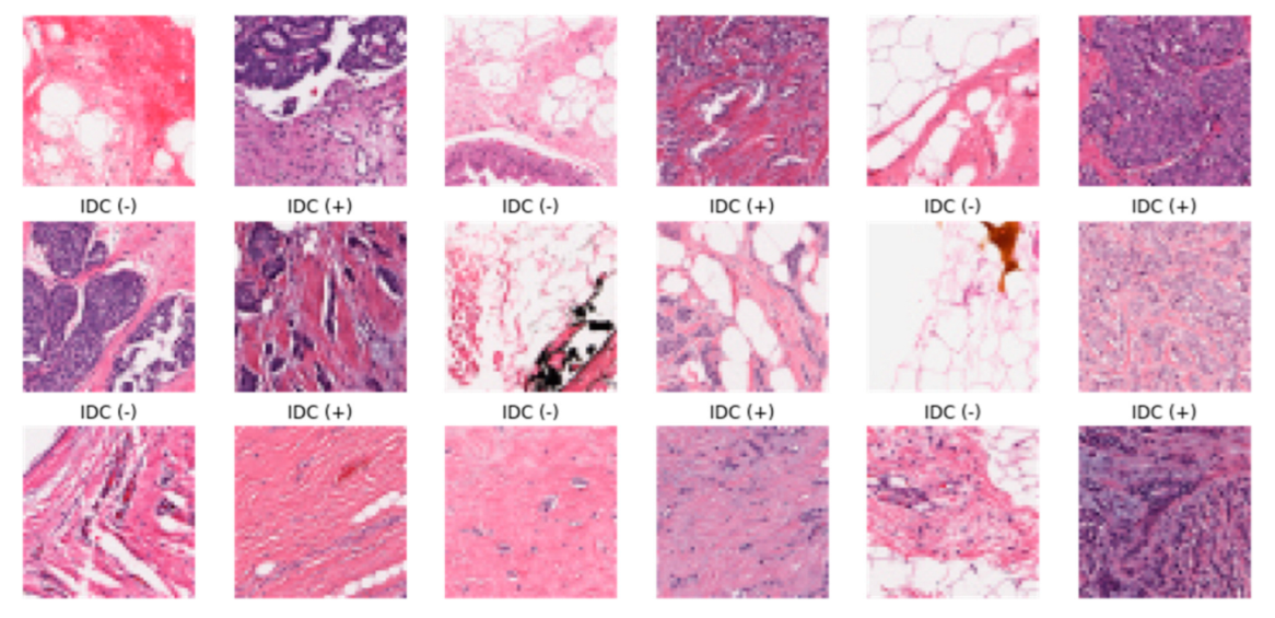 Applsci 13 04255 g012