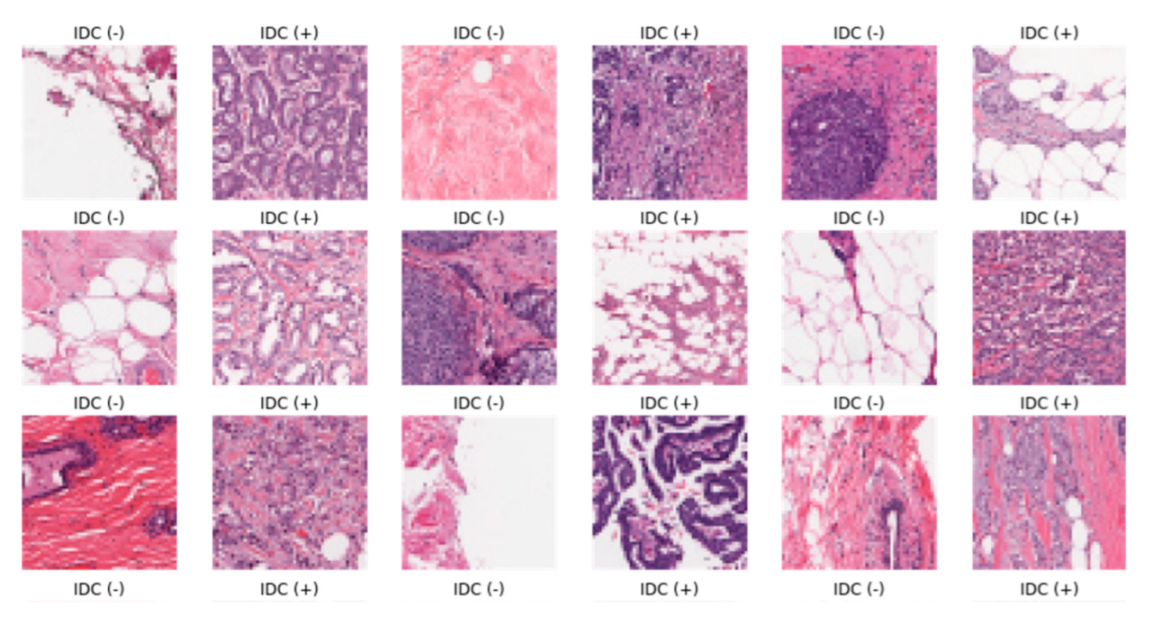 Applsci 13 04255 g016