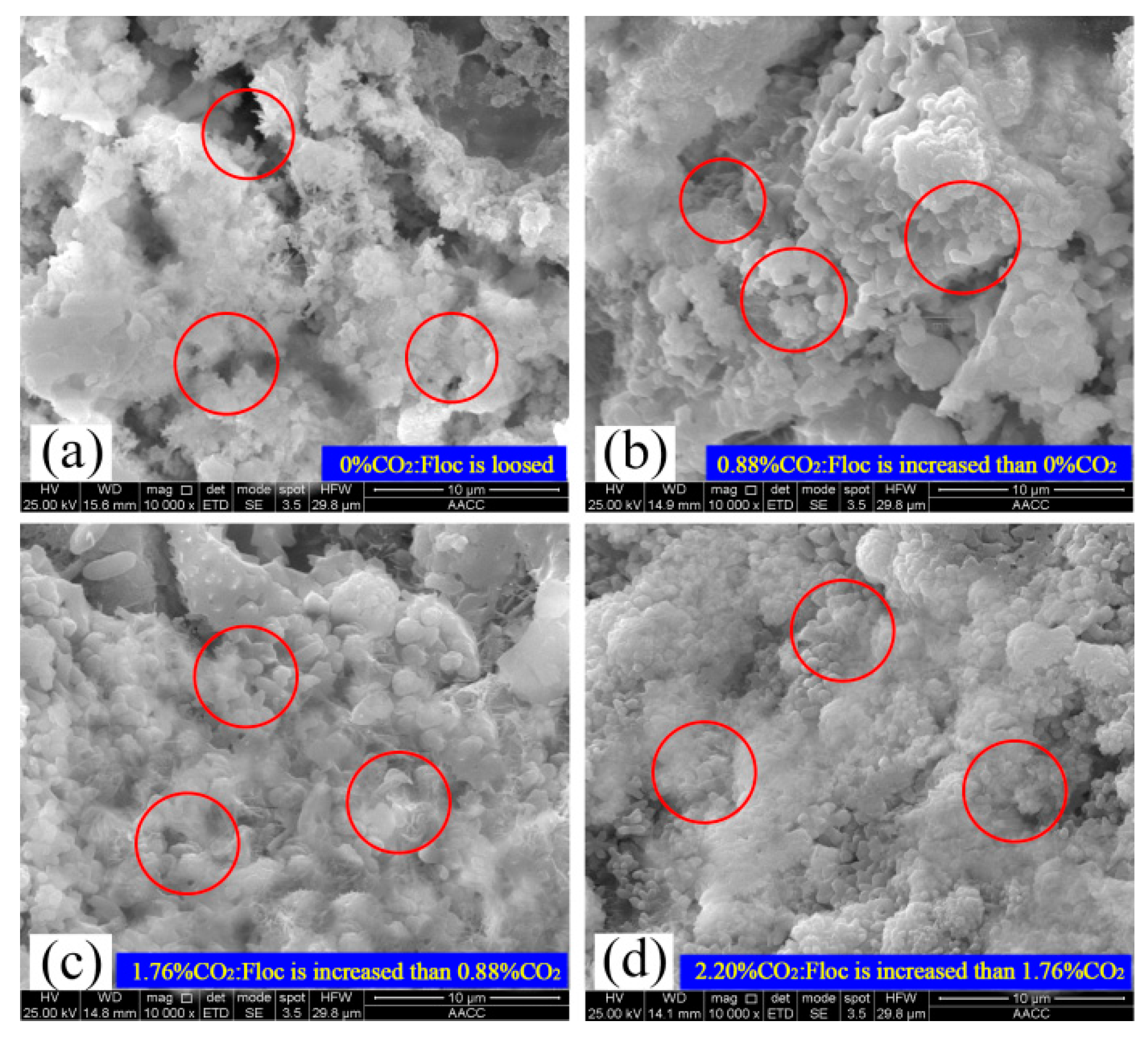 Applsci 13 04256 g012