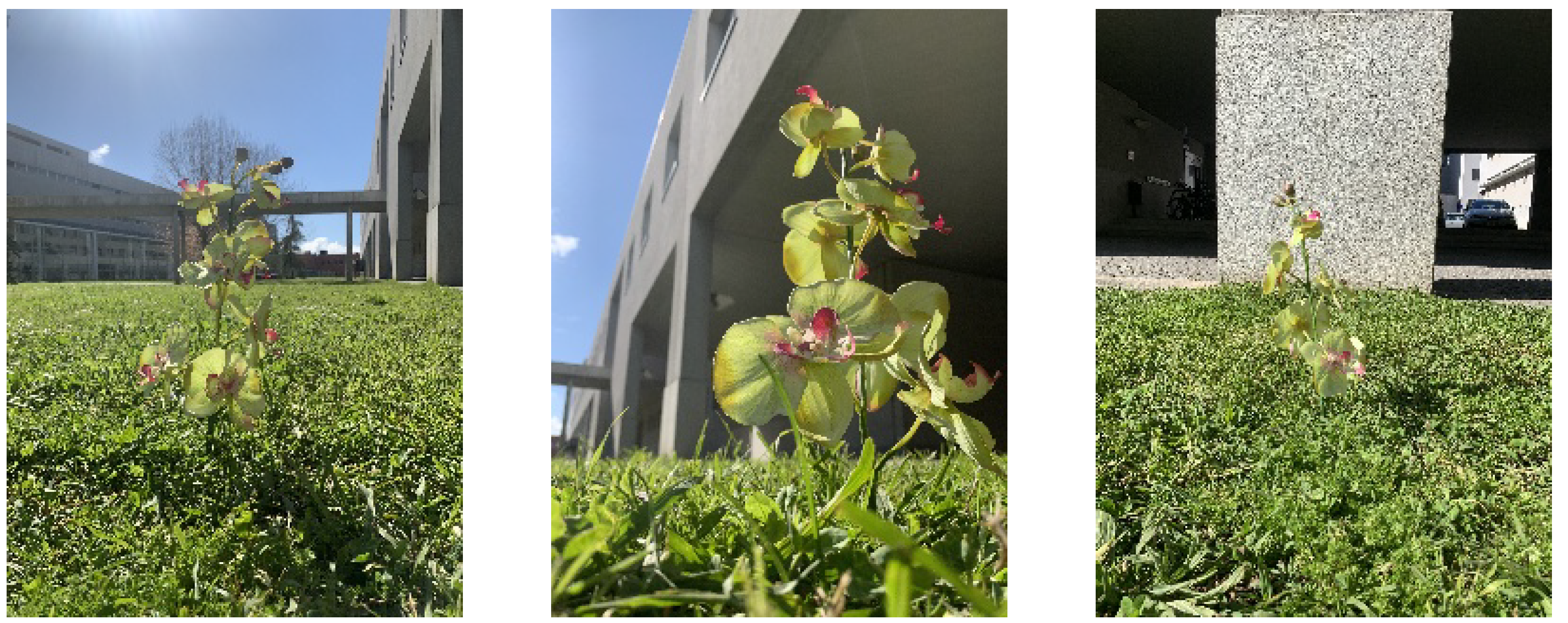 Applsci 13 04265 g005