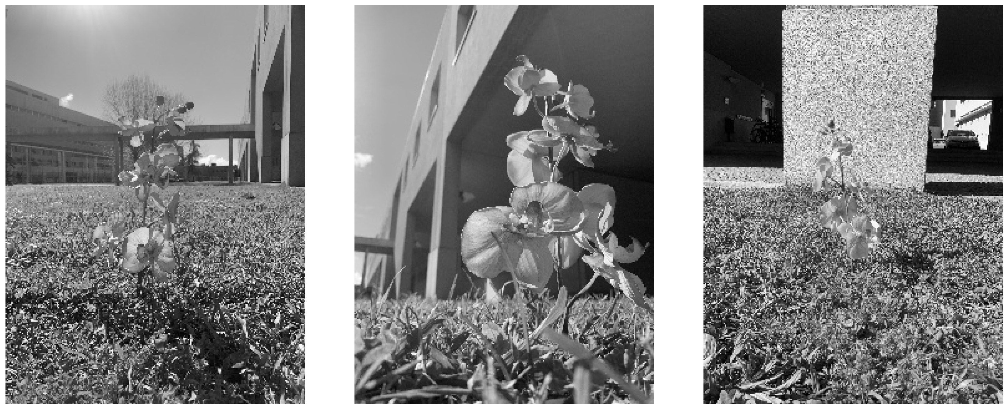 Applsci 13 04265 g006