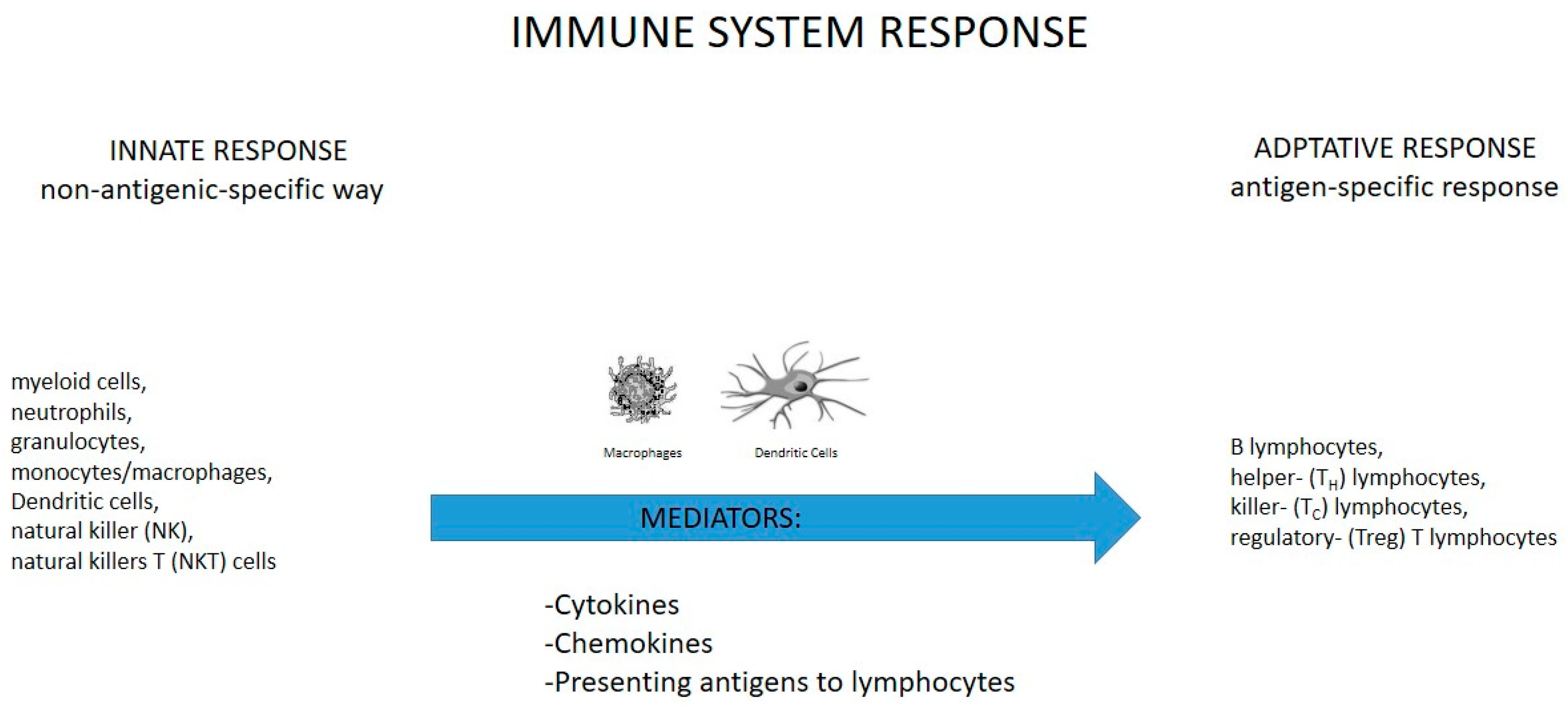 Applsci 13 04276 g002 Applsci 13 04276 g002