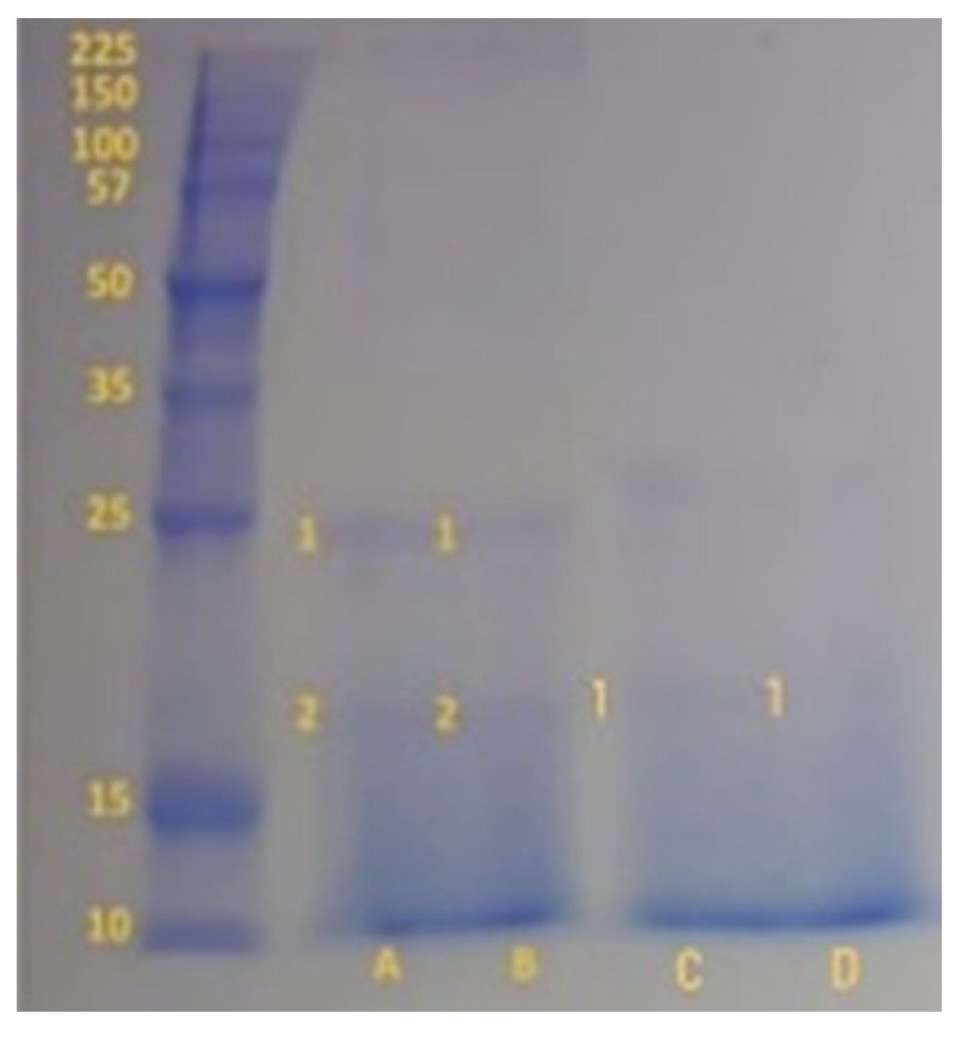 Applsci 13 04277 g004