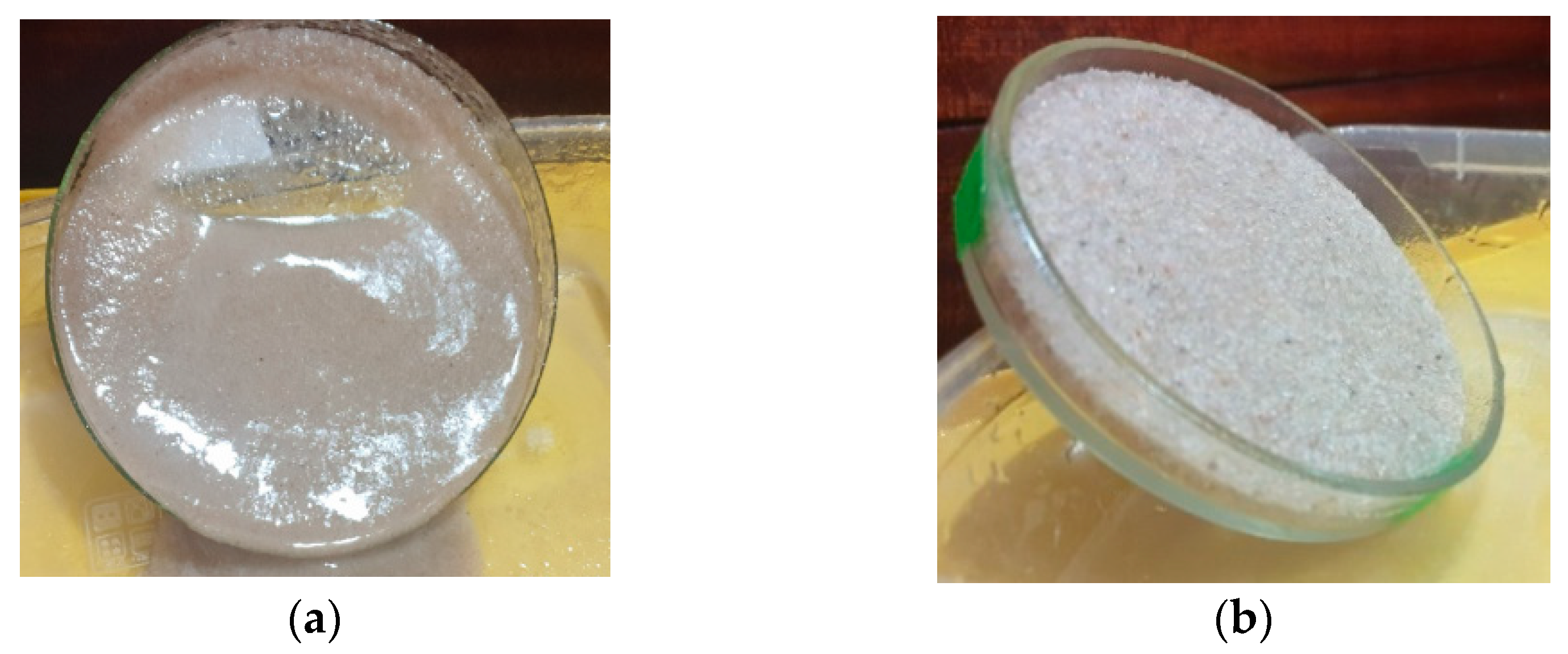 Applsci 13 04311 g006 Applsci 13 04311 g006