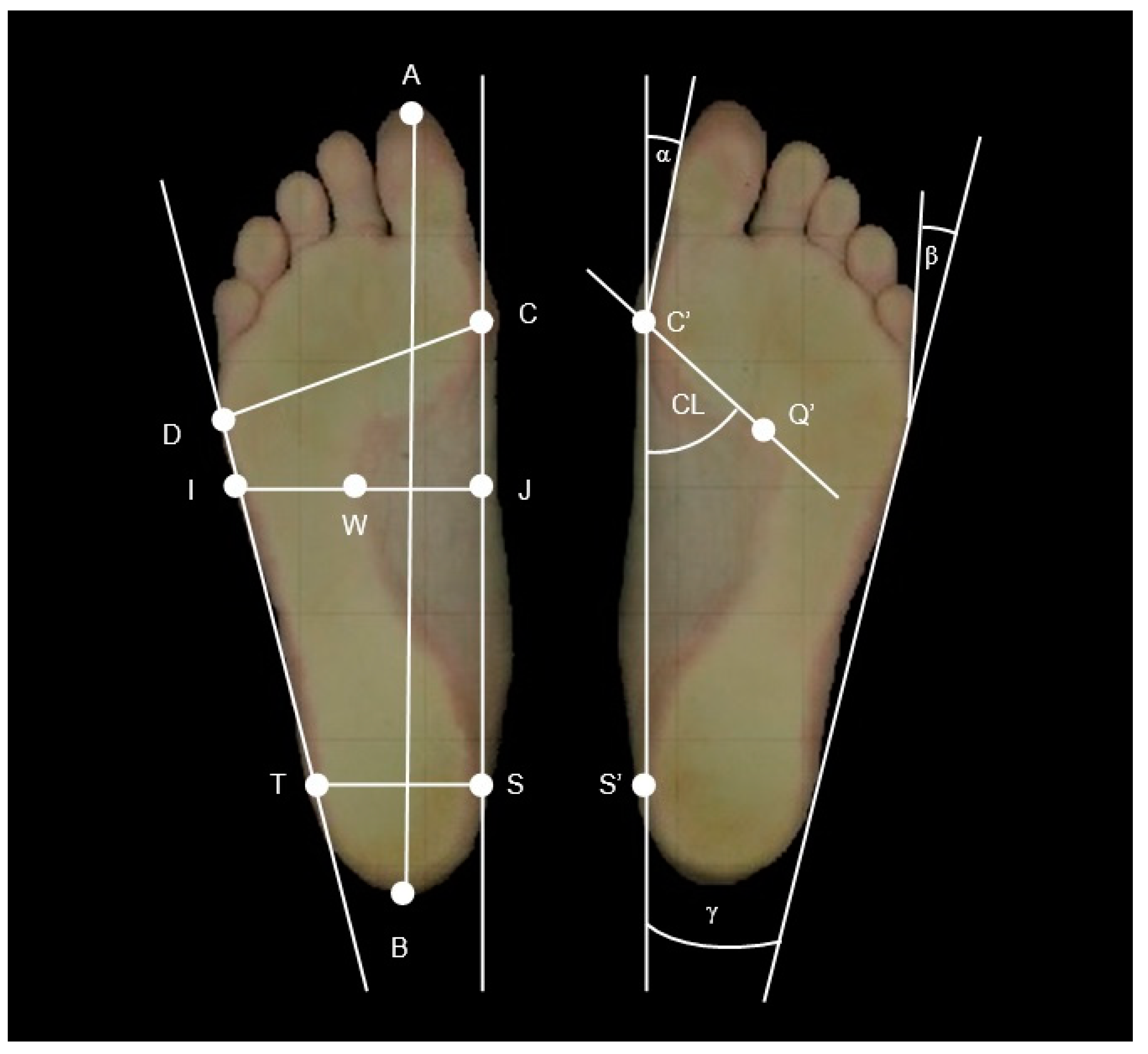 Applsci 13 04319 g001