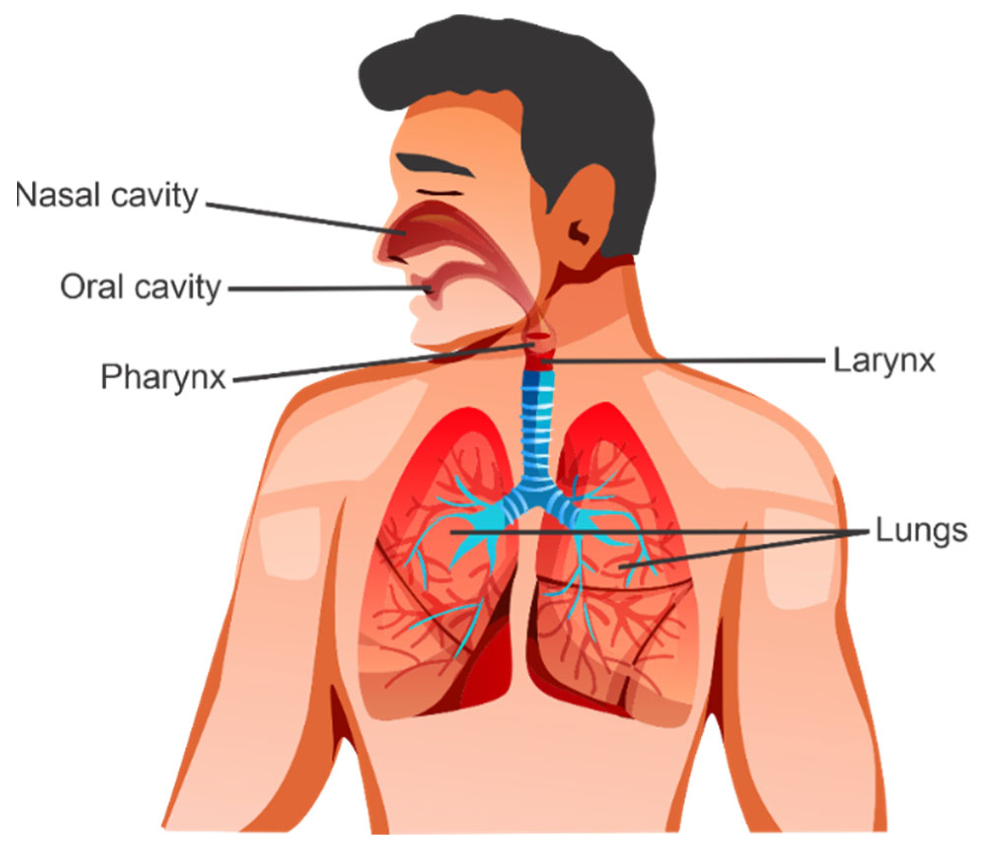 Applsci 13 04331 g001