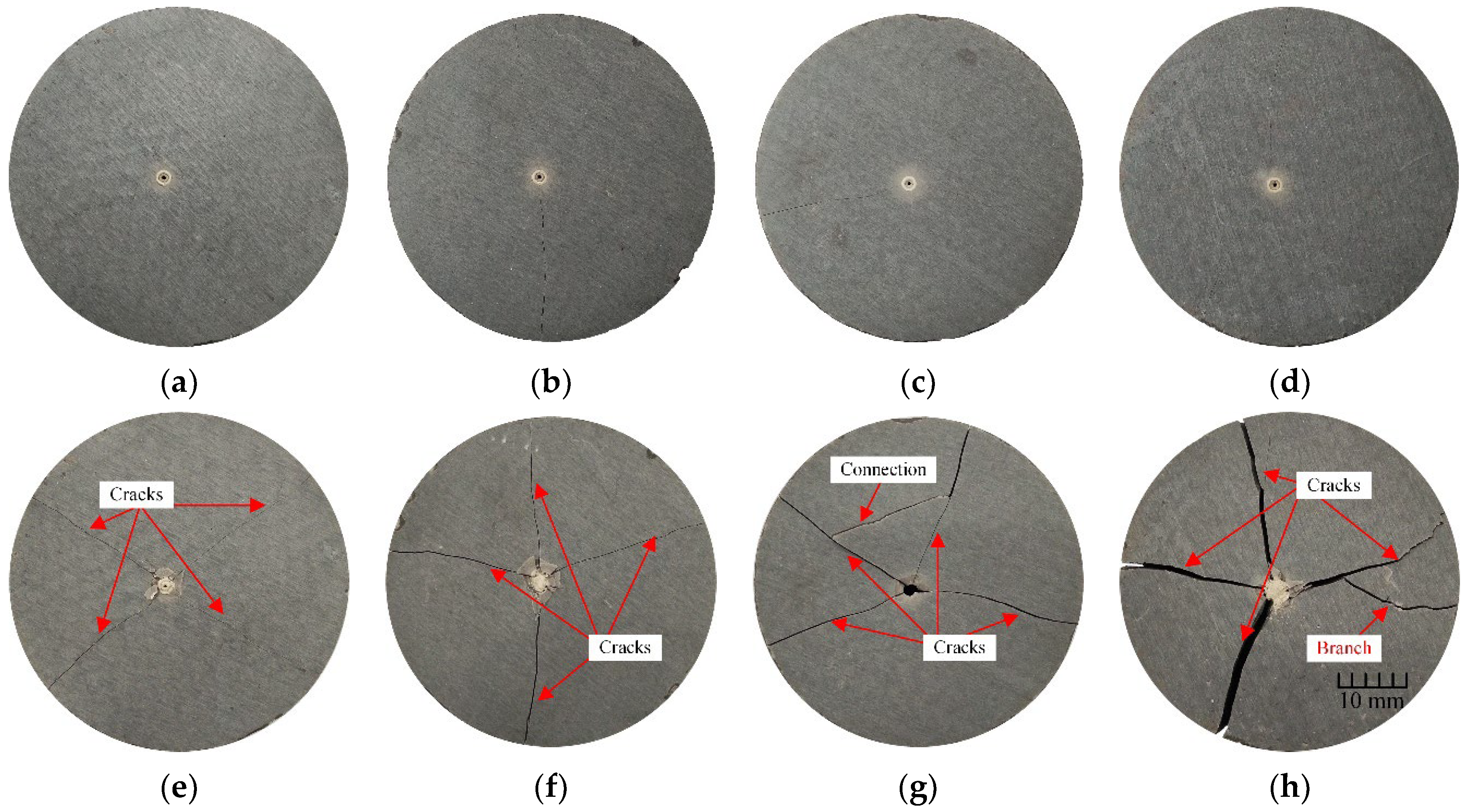 Applsci 13 04347 g012