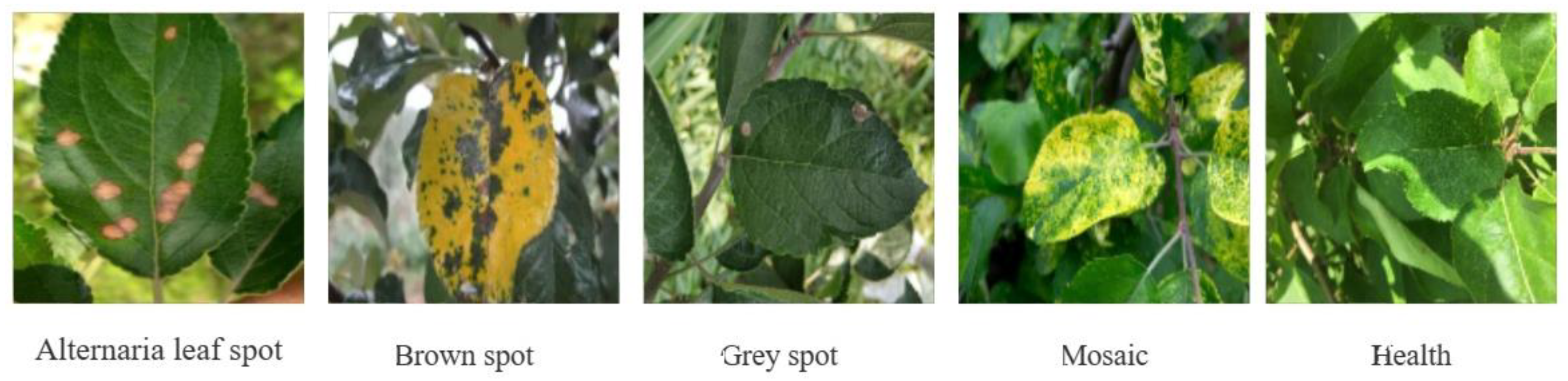 Applsci 13 04348 g014