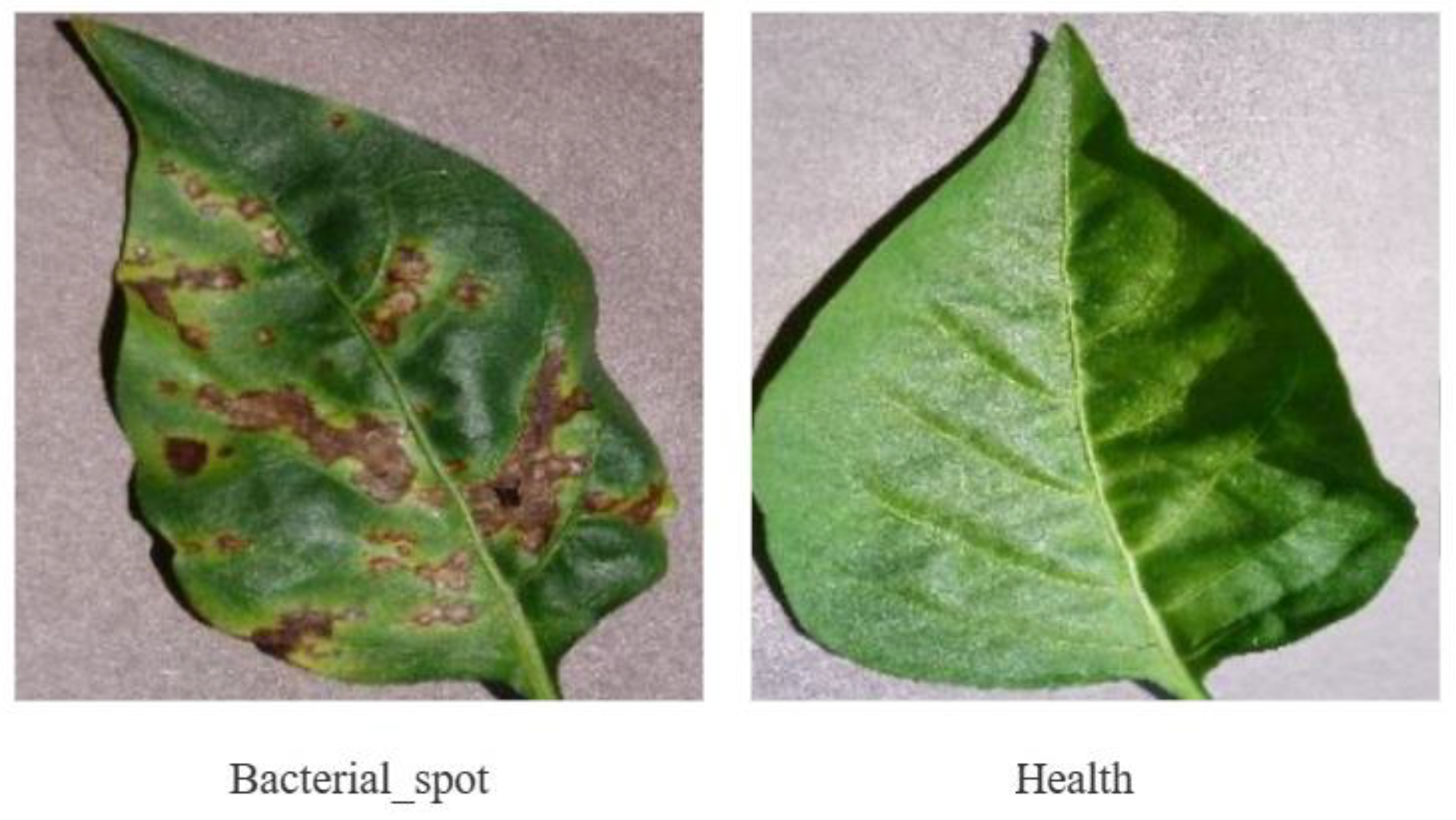 Applsci 13 04348 g015