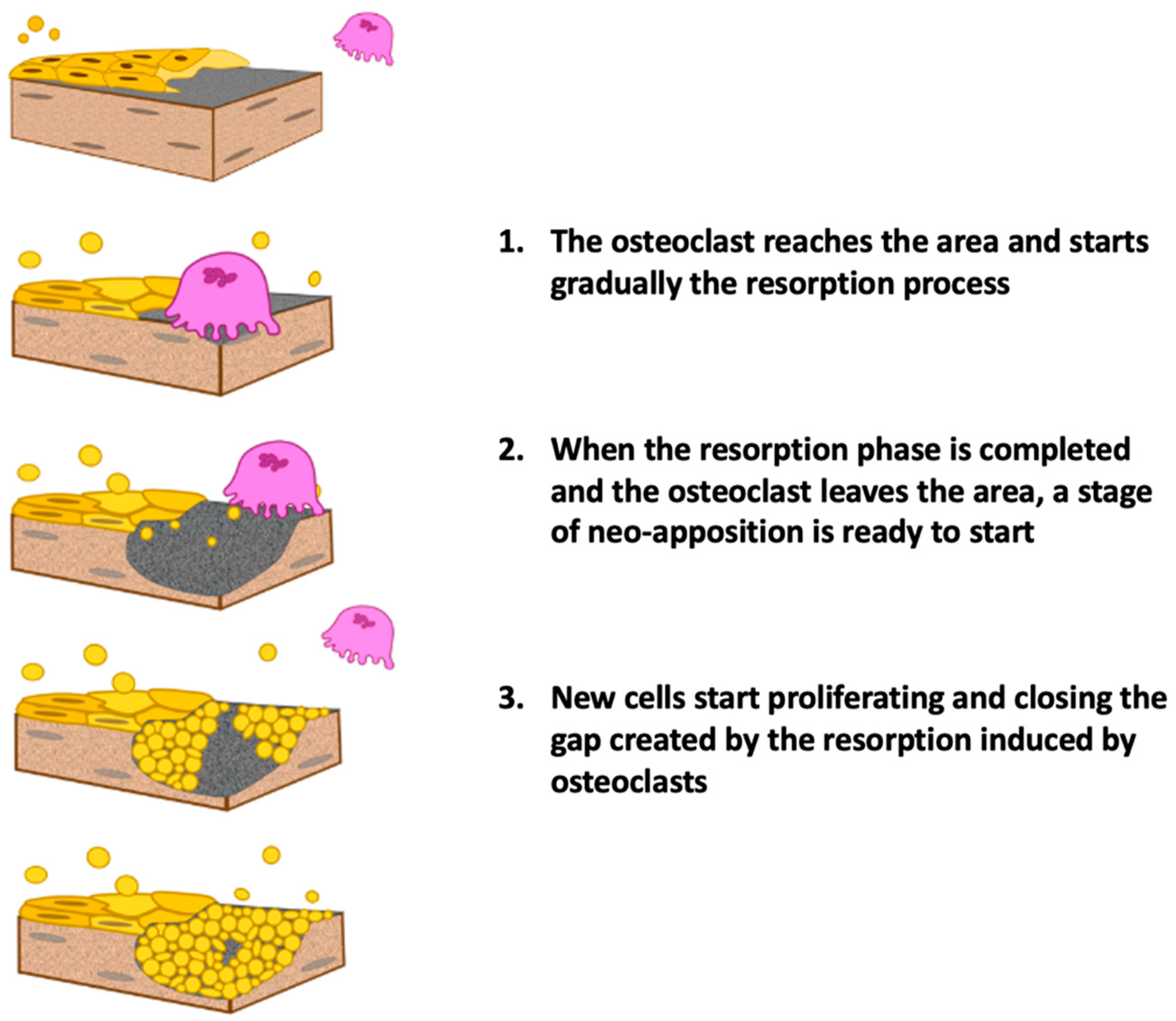 Applsci 13 04370 g001