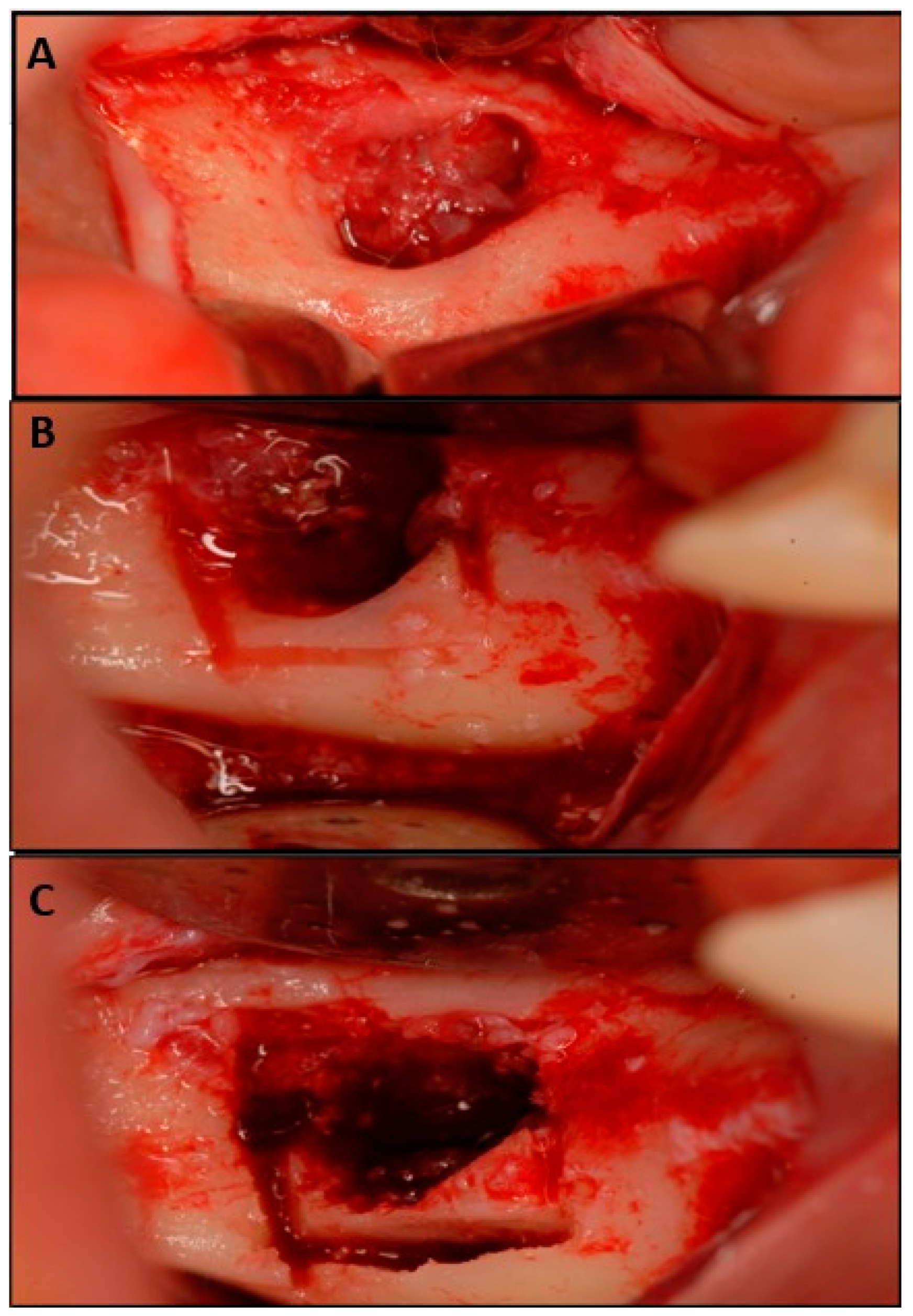 Applsci 13 04370 g010