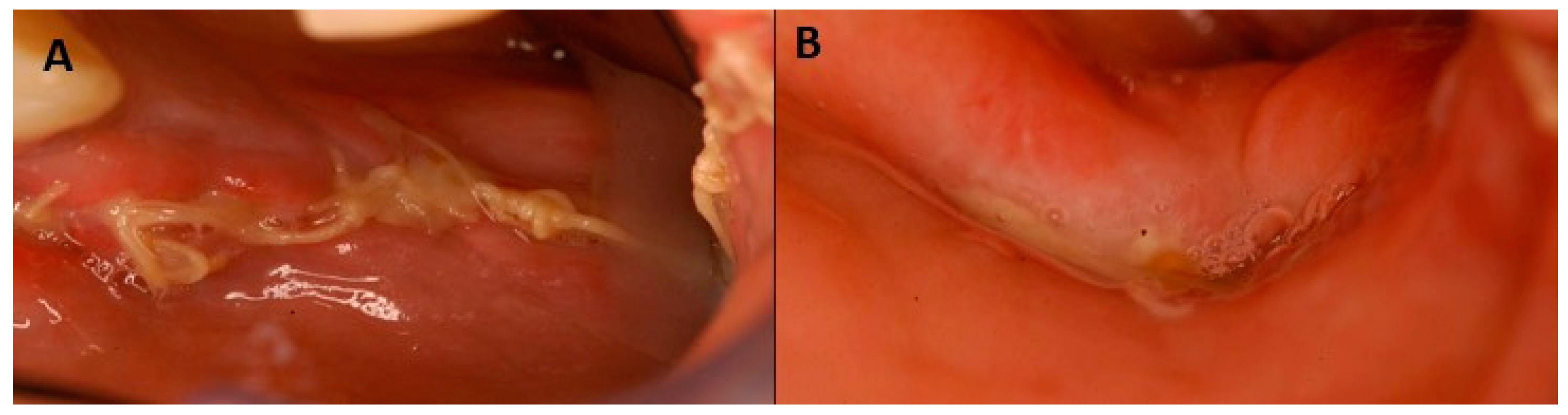 Applsci 13 04370 g012