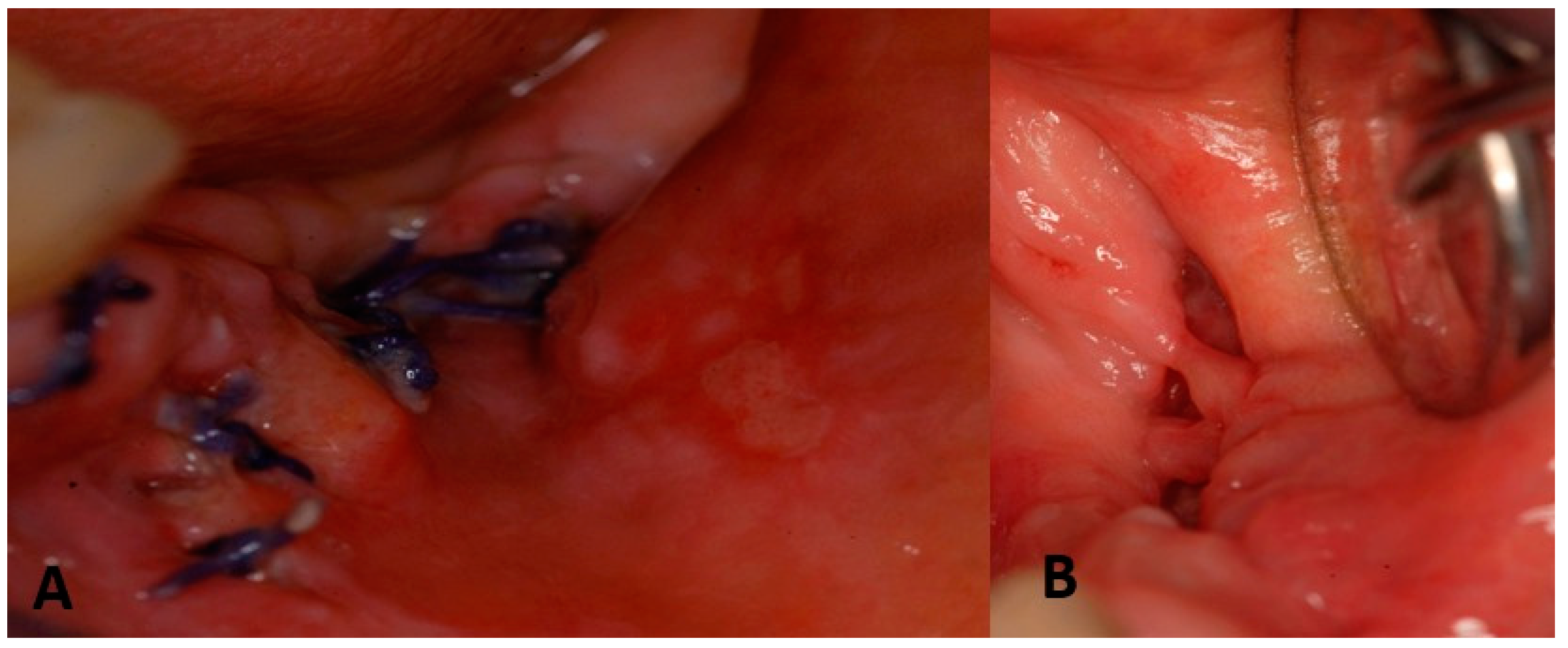 Applsci 13 04370 g015