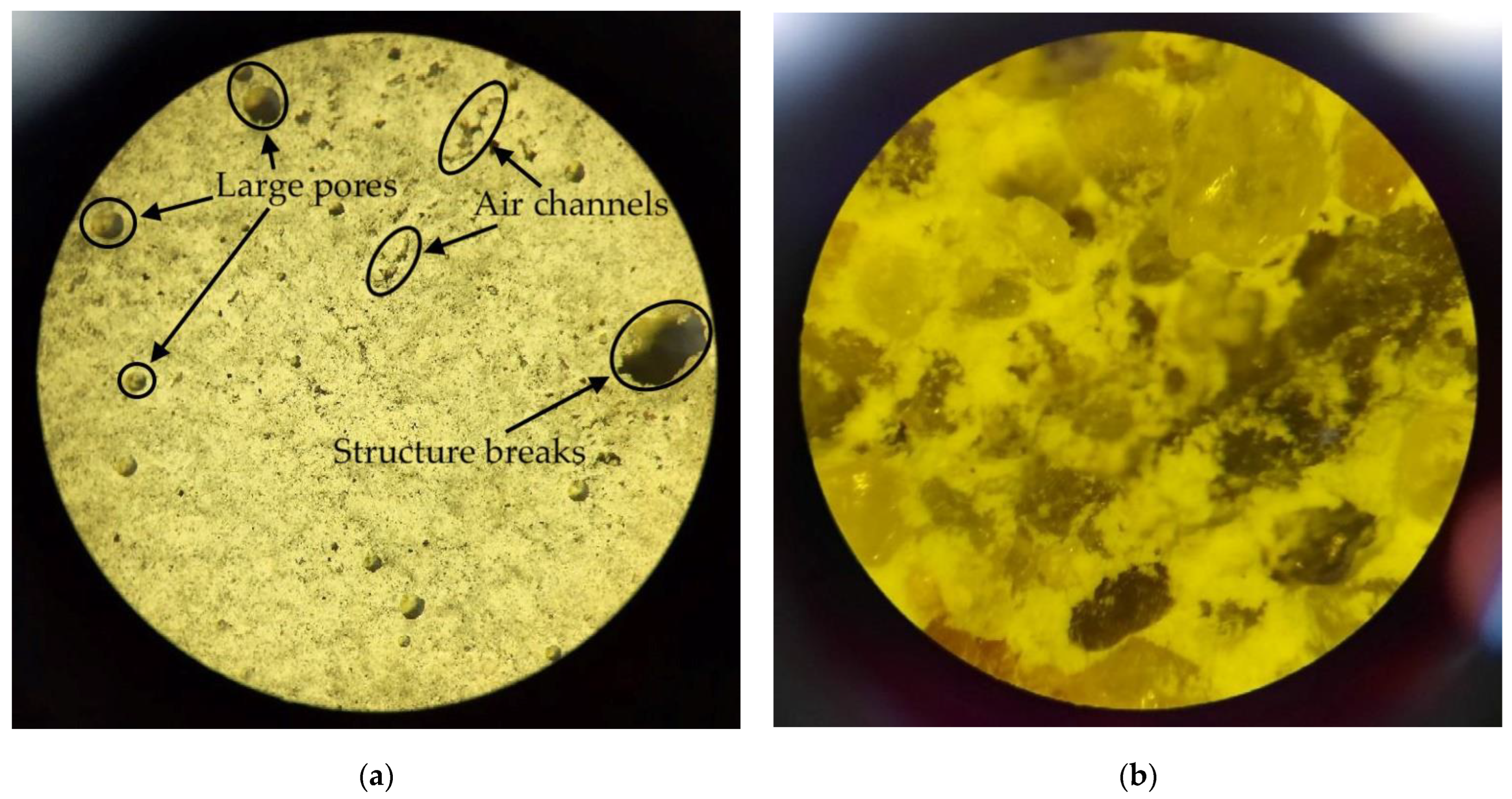 Applsci 13 04386 g010