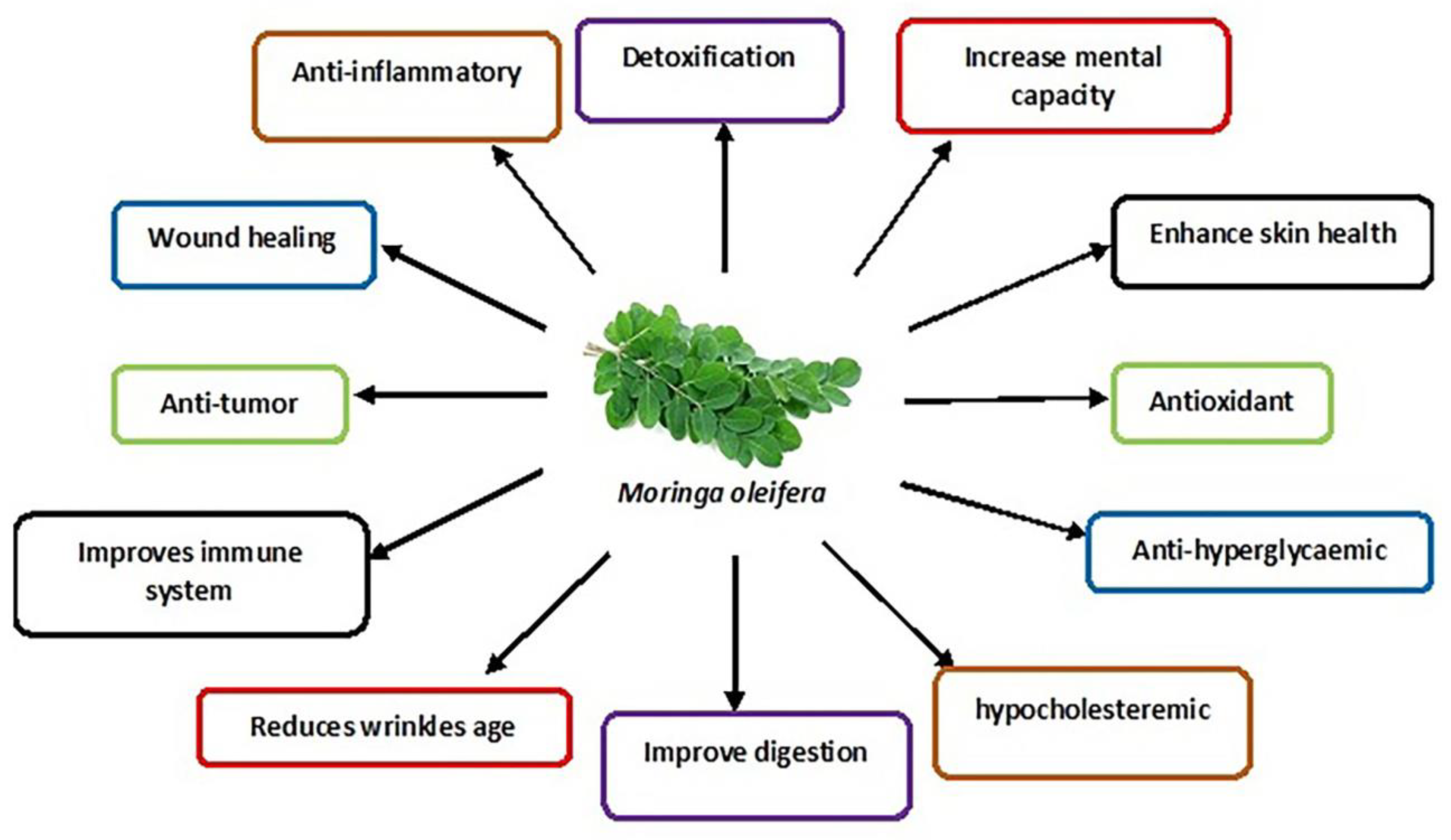 Applsci 13 04387 g002