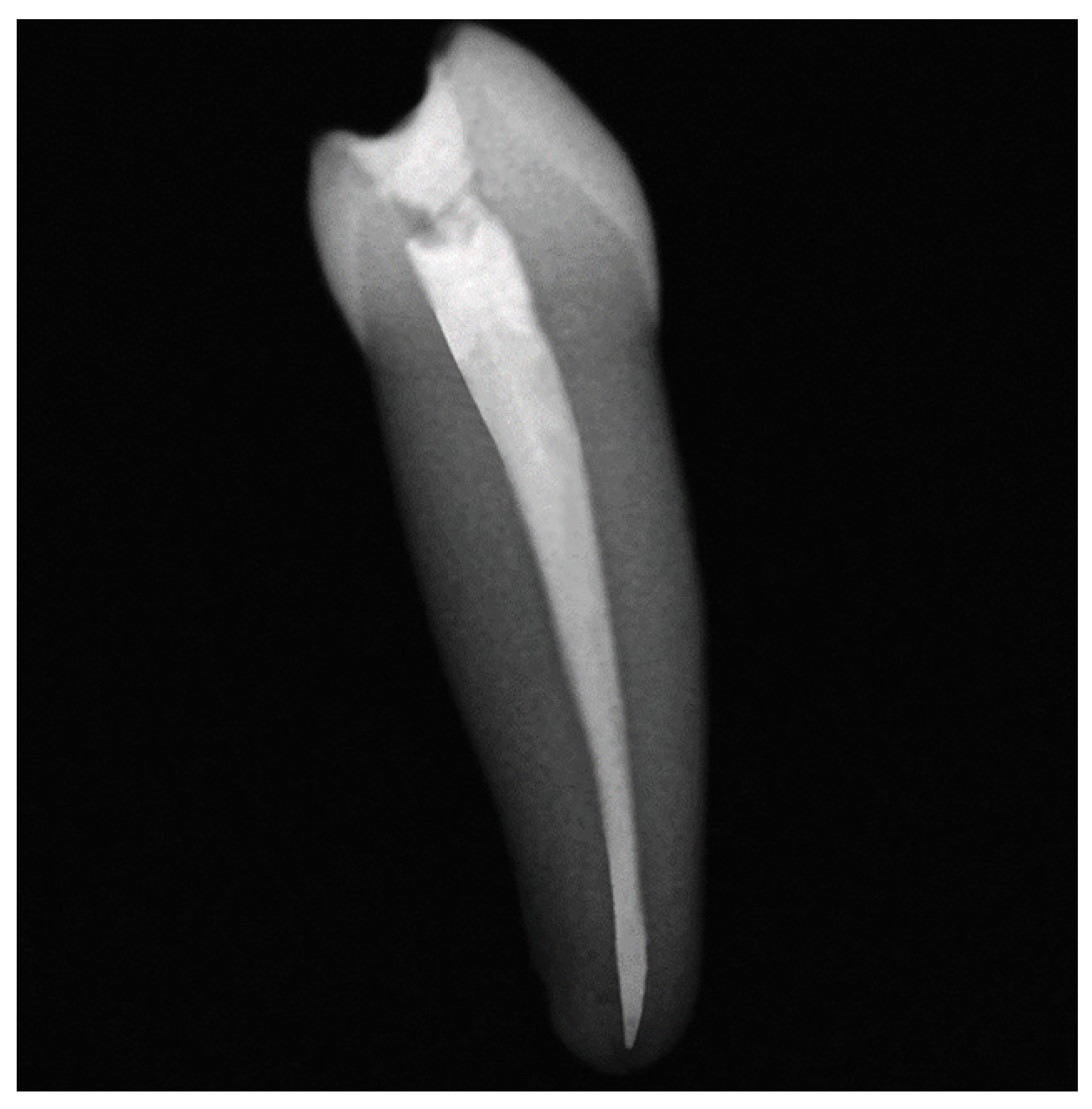 Applsci 13 04388 g001