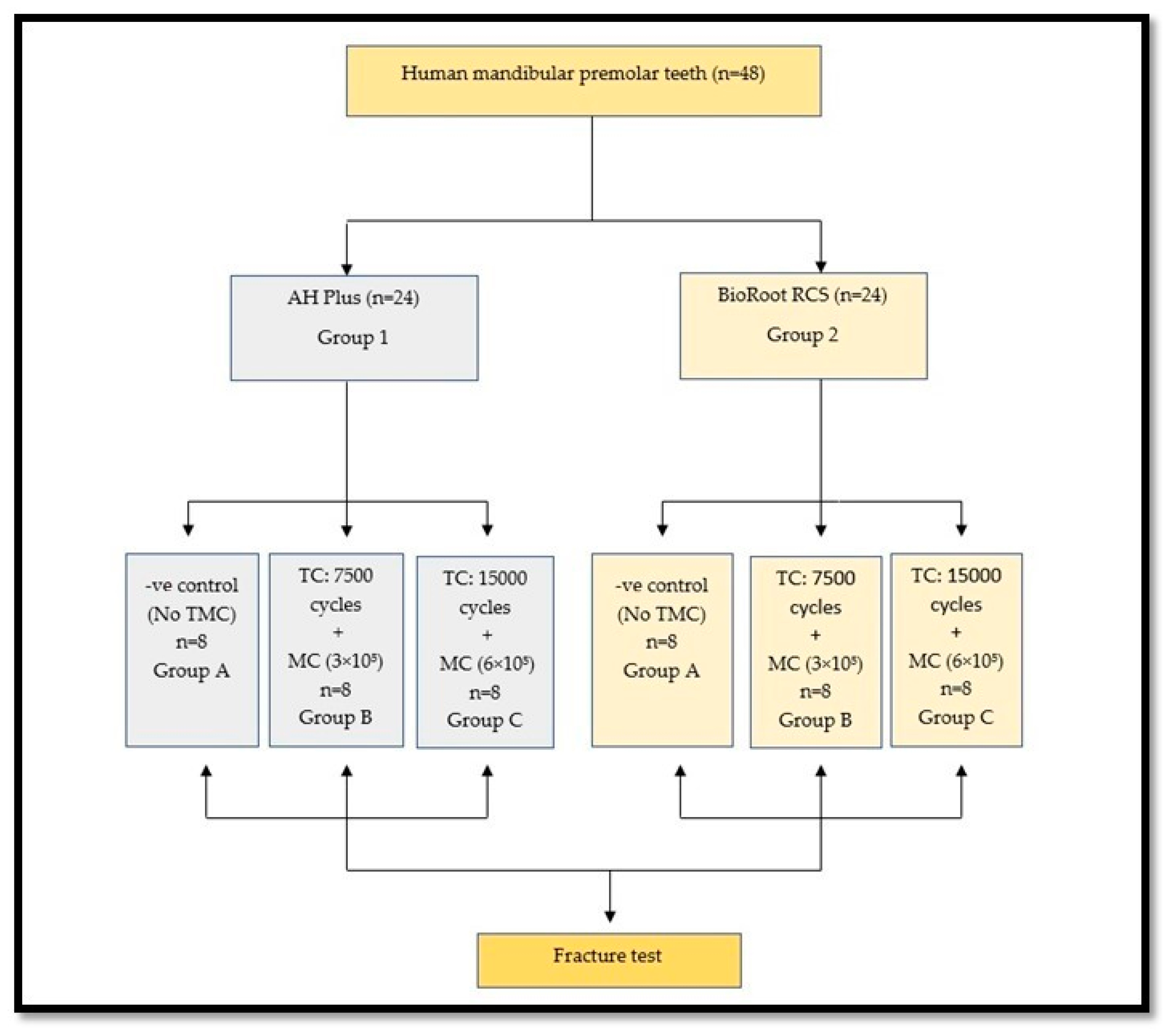 Applsci 13 04388 g002