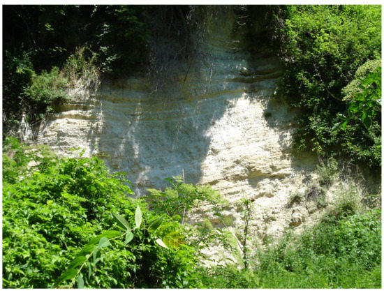 Applsci 13 04410 g001