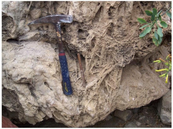 Applsci 13 04410 g002