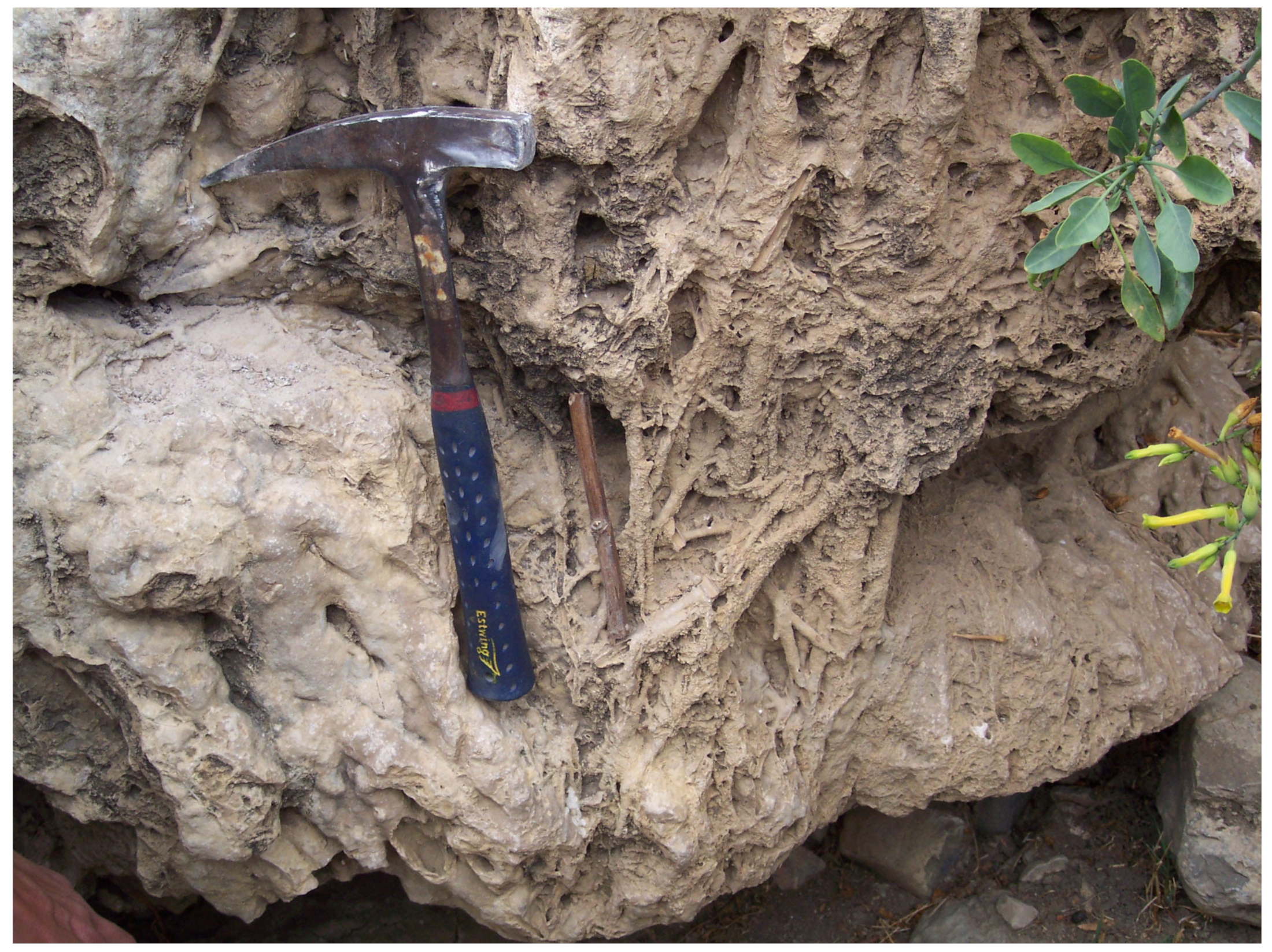 Applsci 13 04410 g002