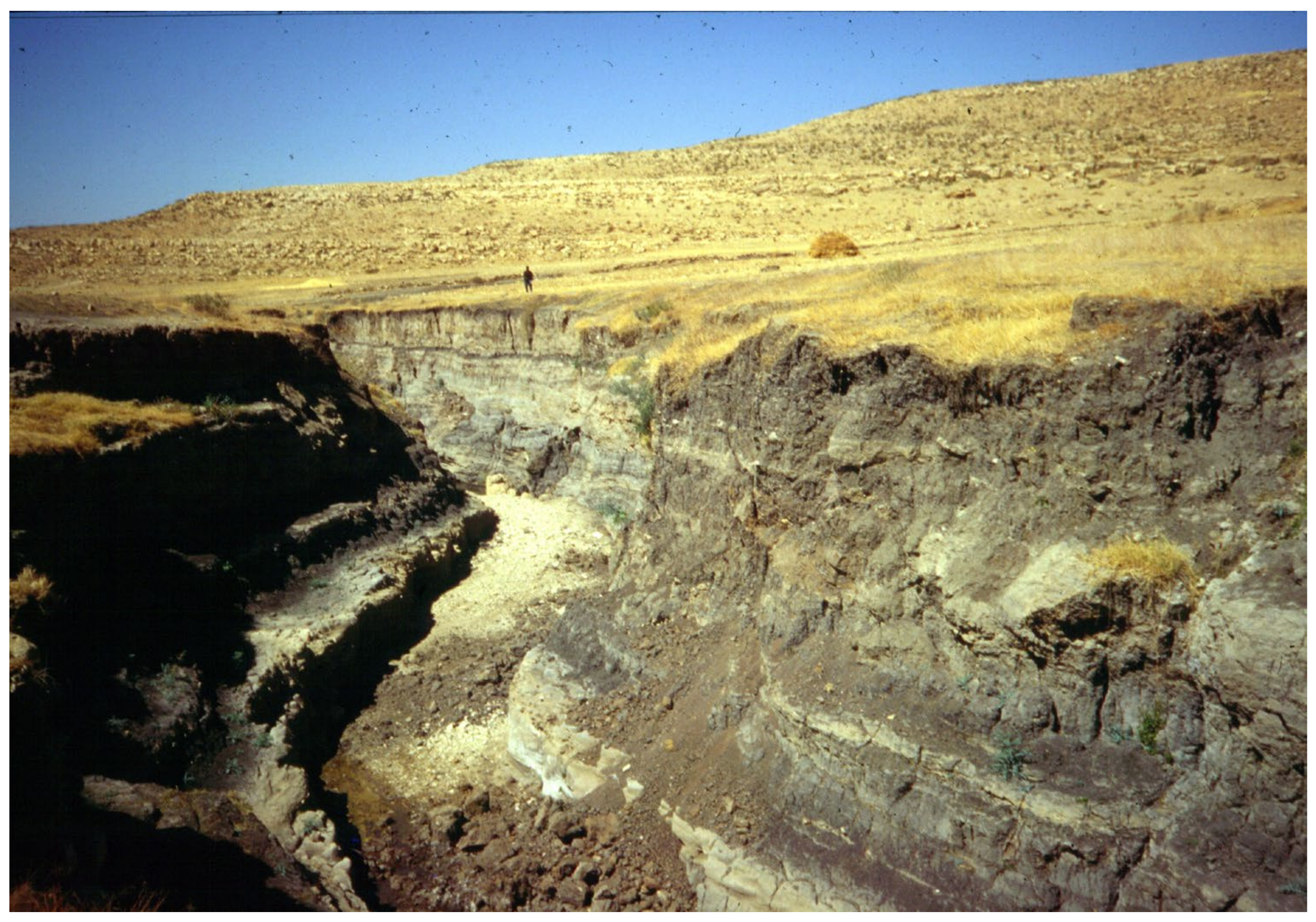 Applsci 13 04410 g005