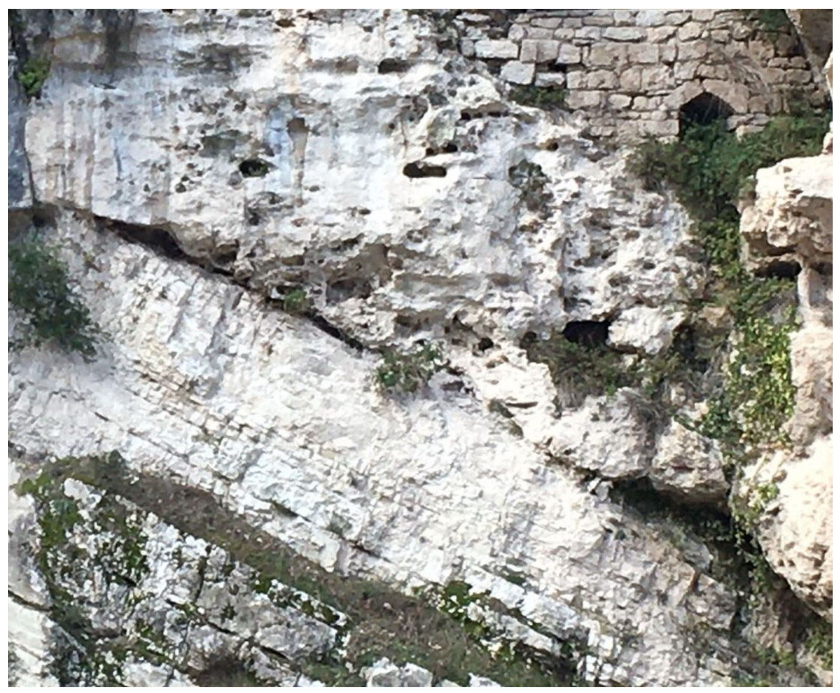 Applsci 13 04410 g007