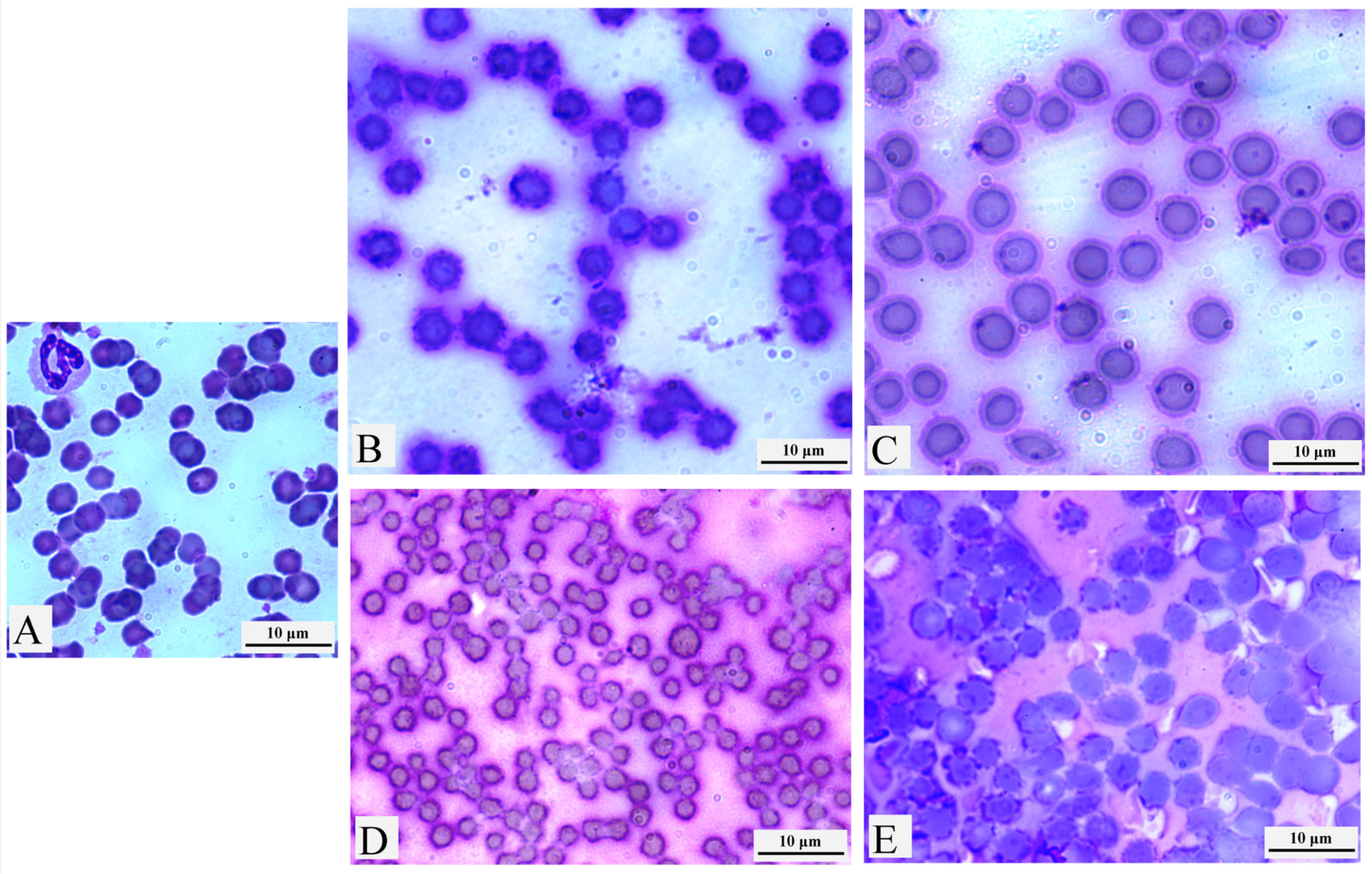 Applsci 13 04413 g002