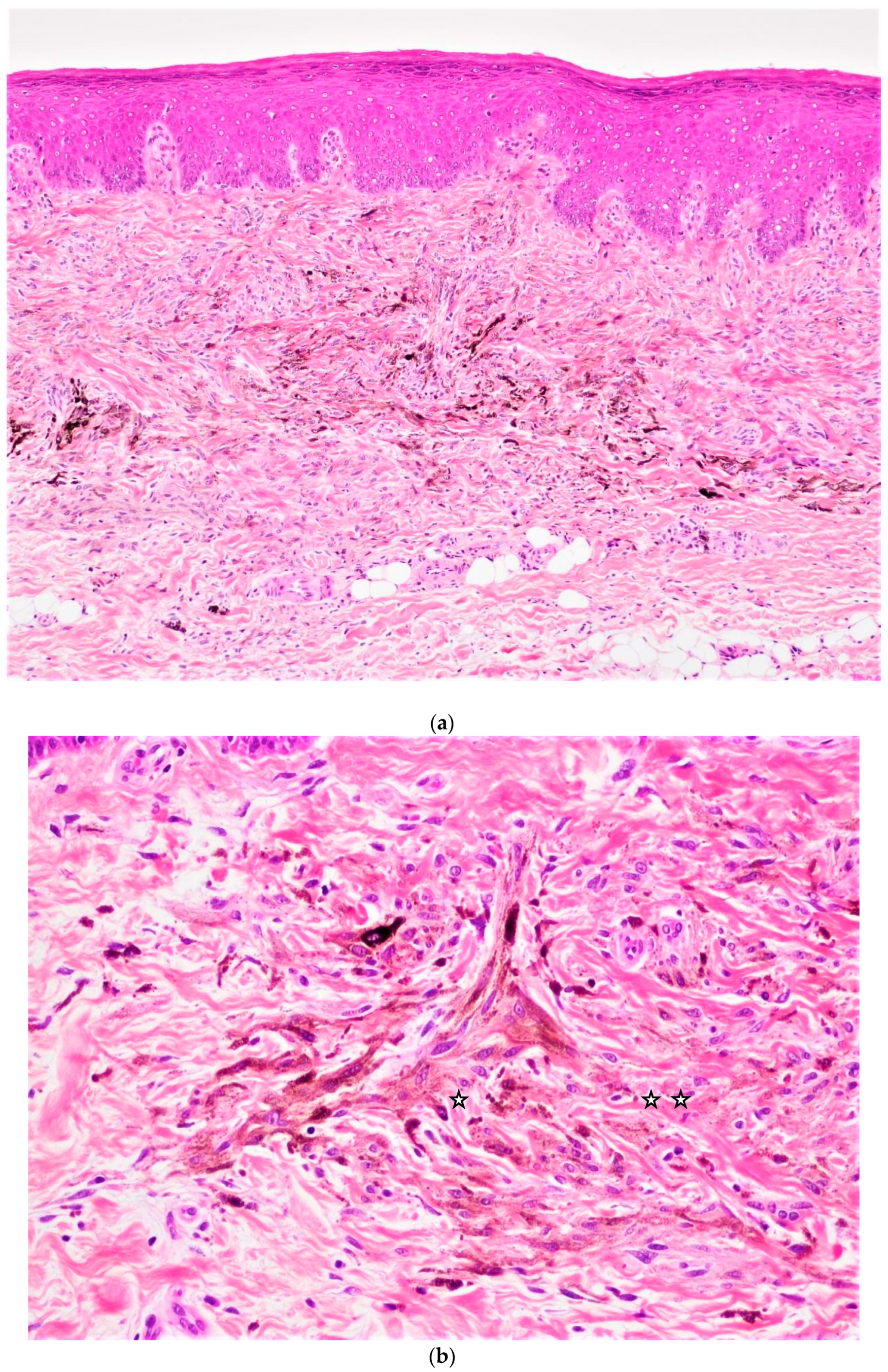 Applsci 13 04420 g003