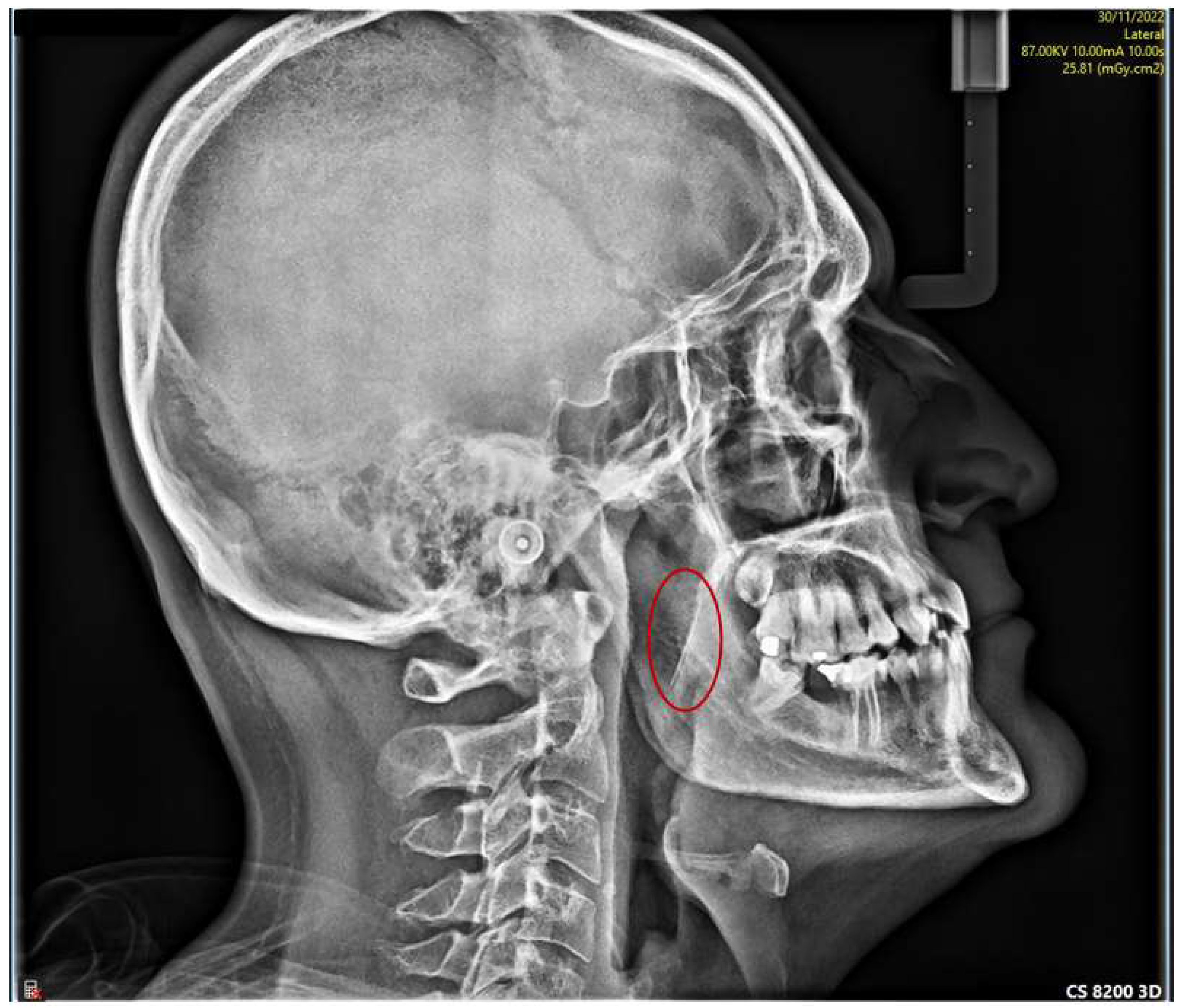 Applsci 13 04421 g002