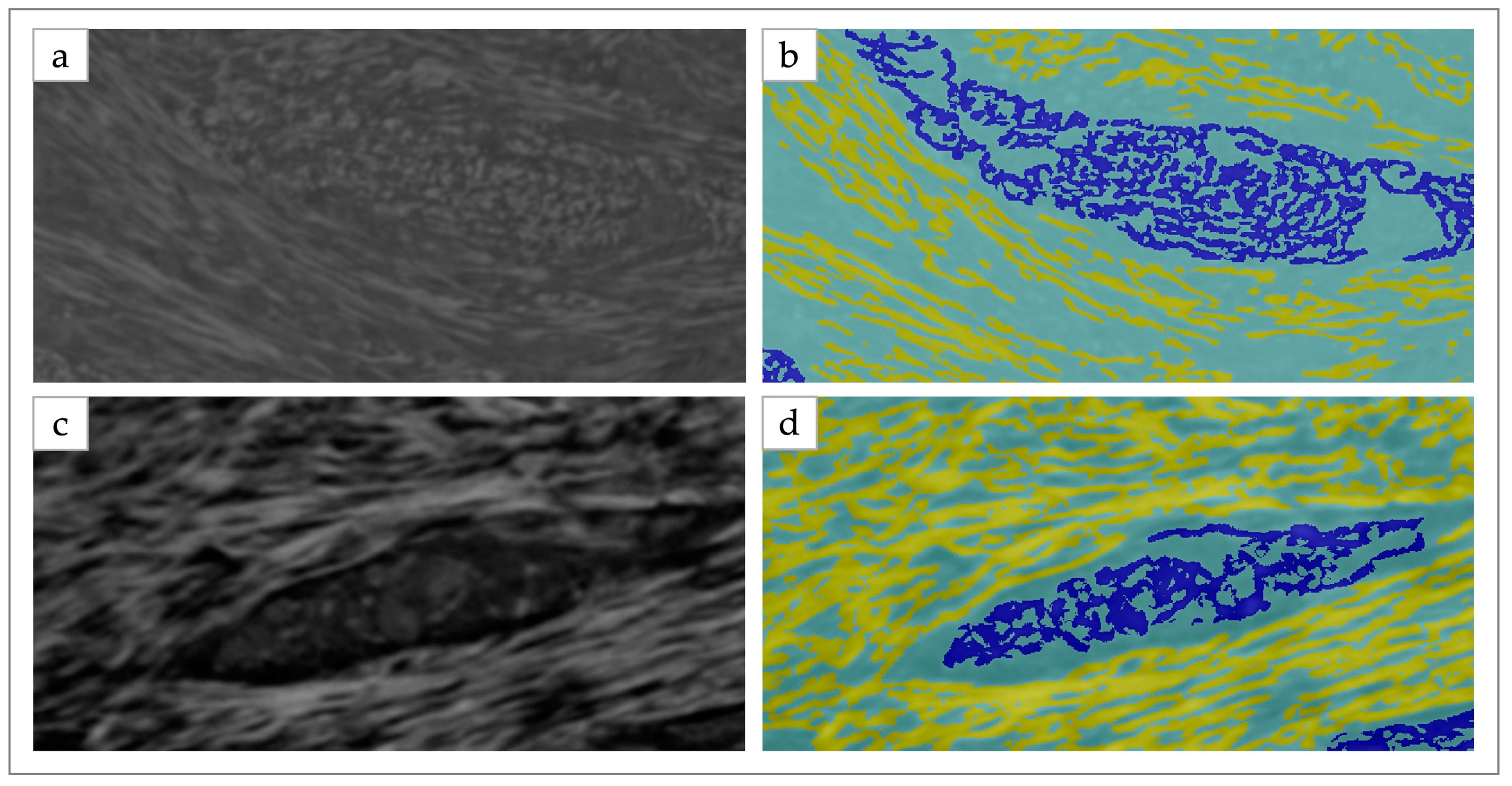 Applsci 13 04423 g001