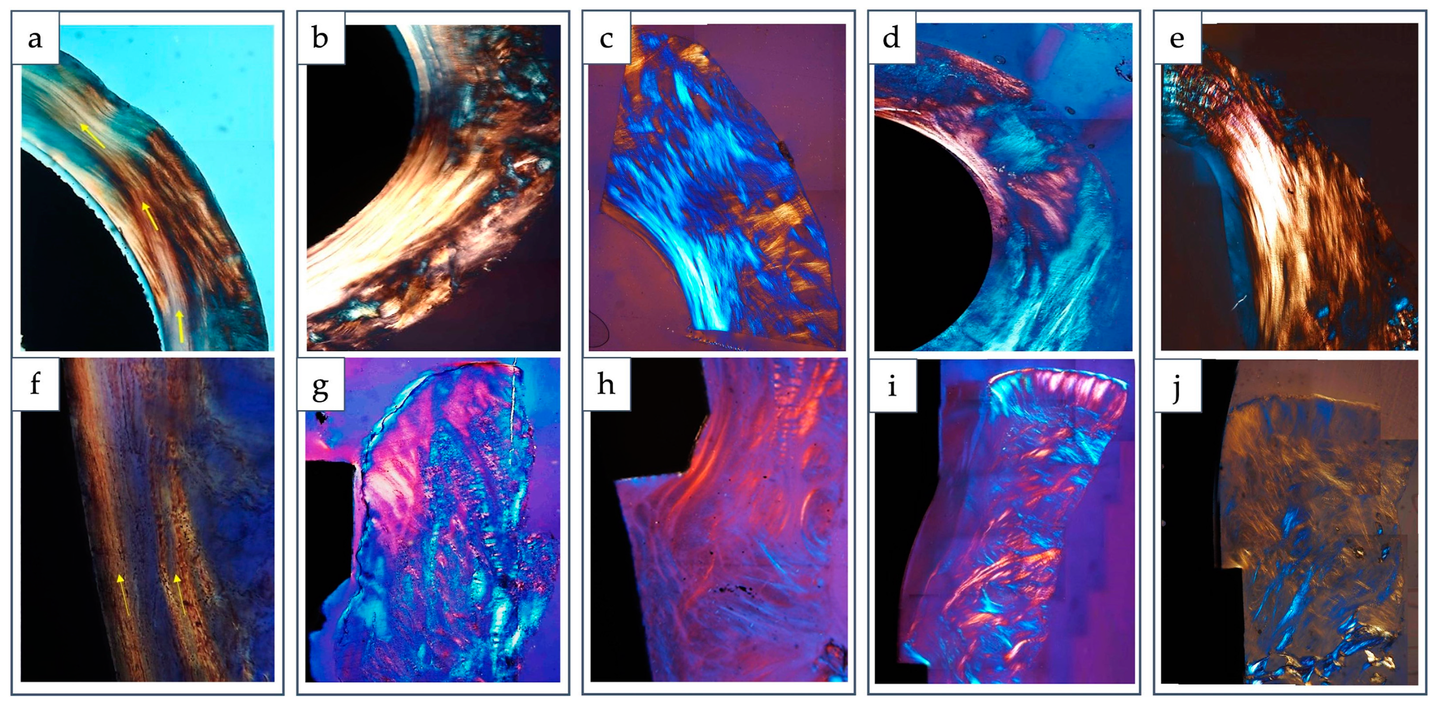 Applsci 13 04423 g007