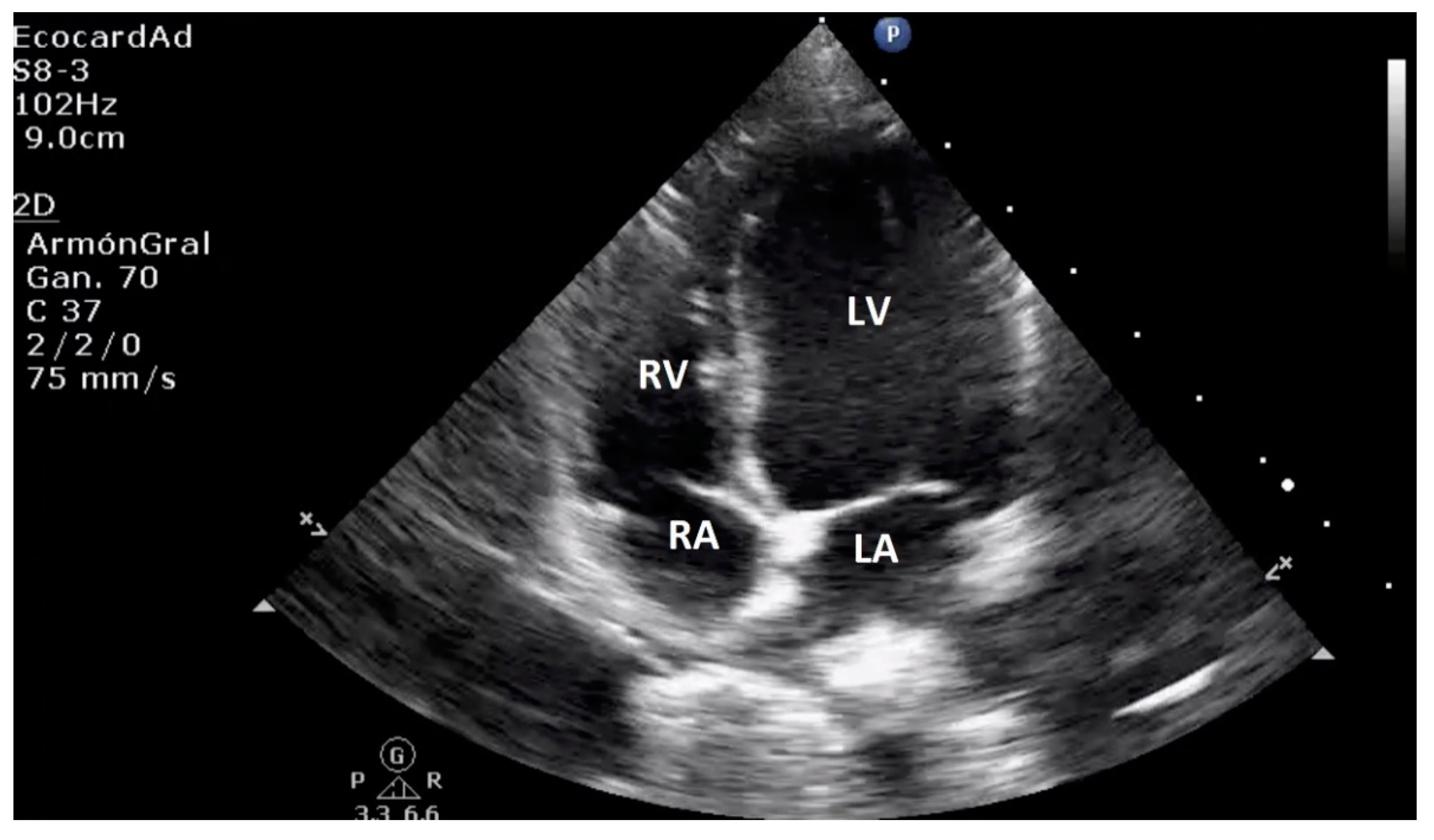 Applsci 13 04437 g003