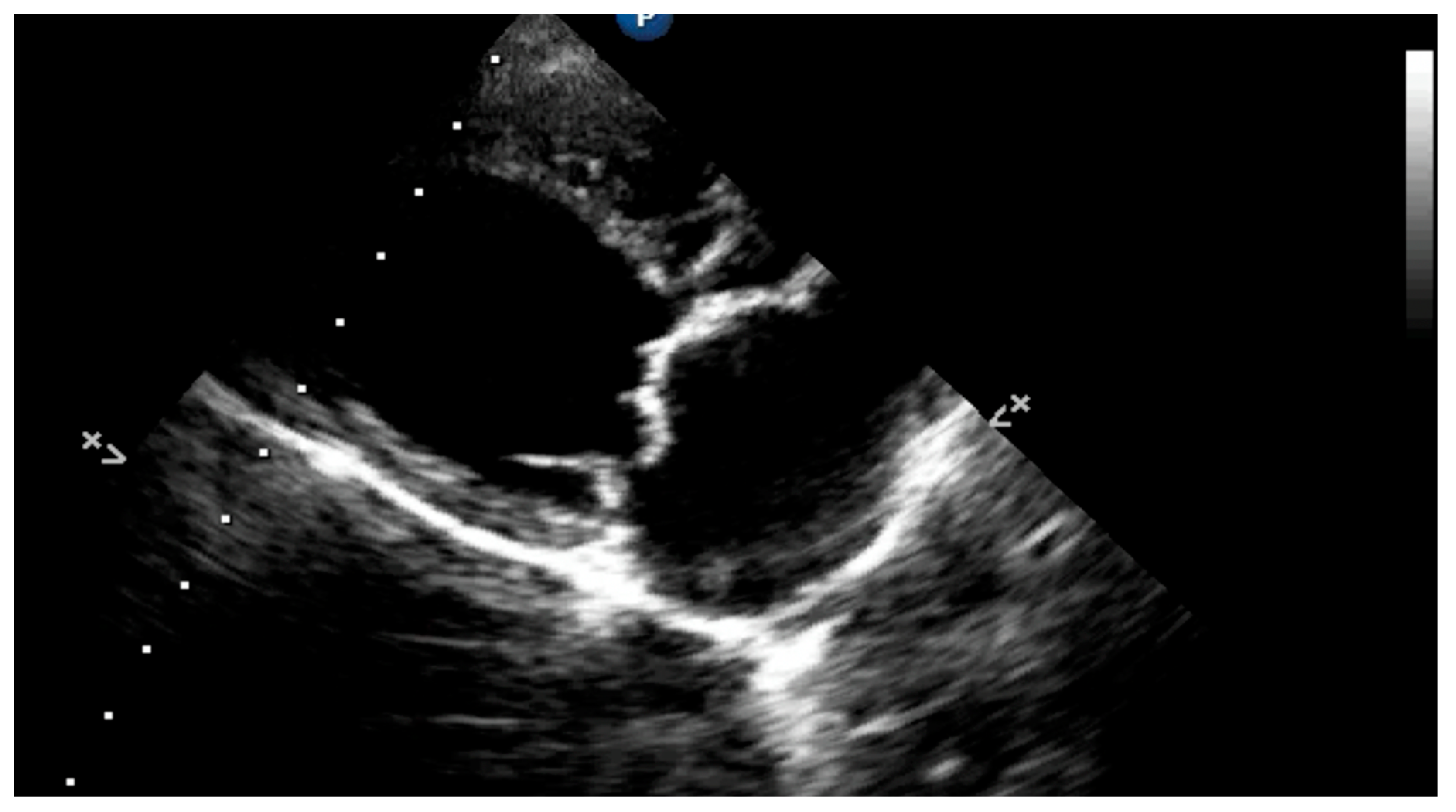 Applsci 13 04437 g009