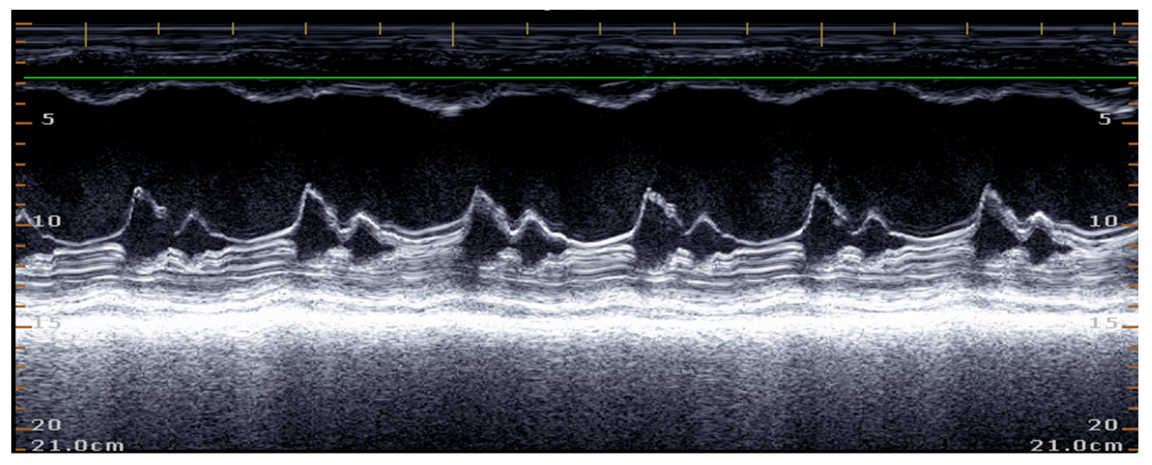 Applsci 13 04437 g015