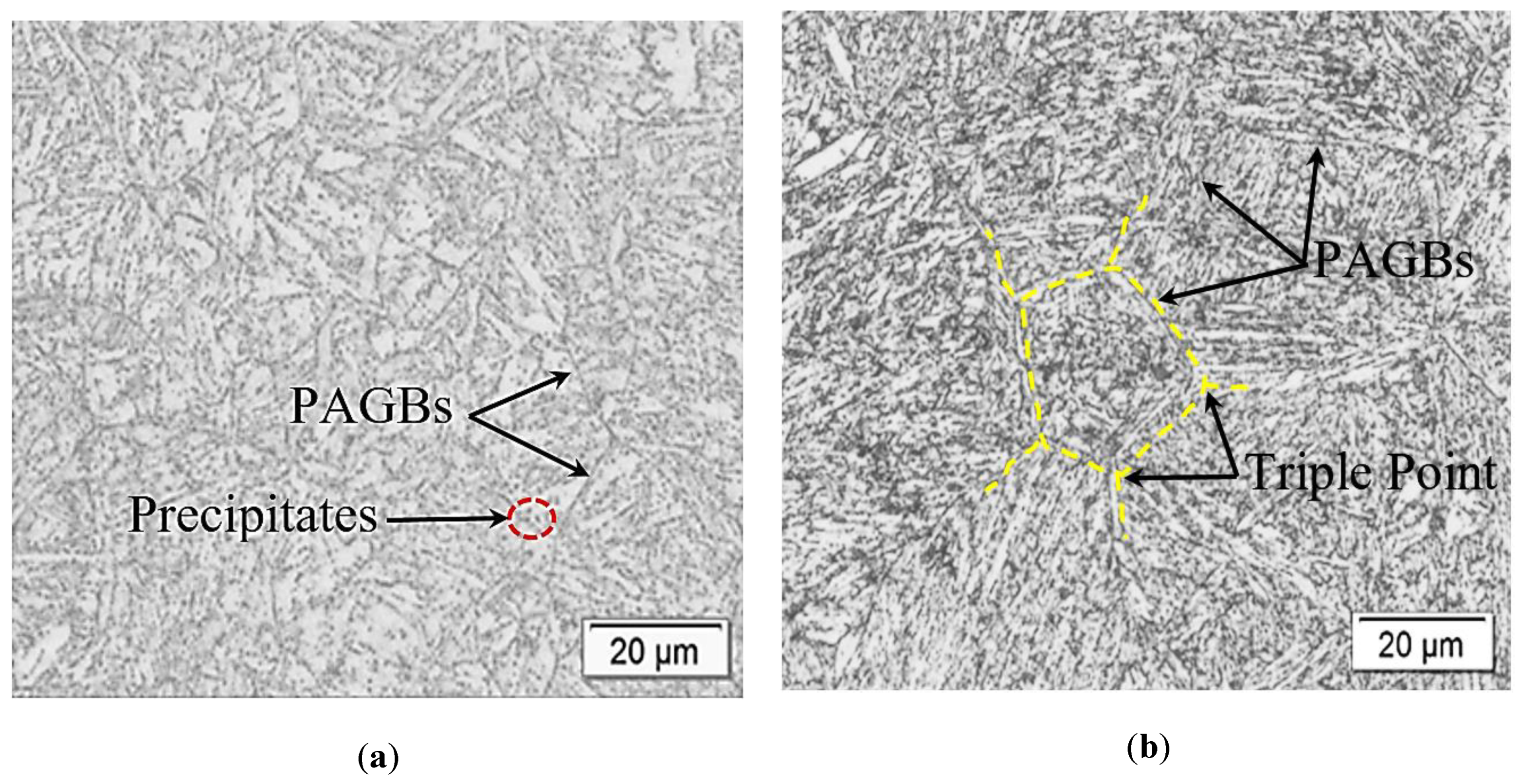 Applsci 13 04449 g002