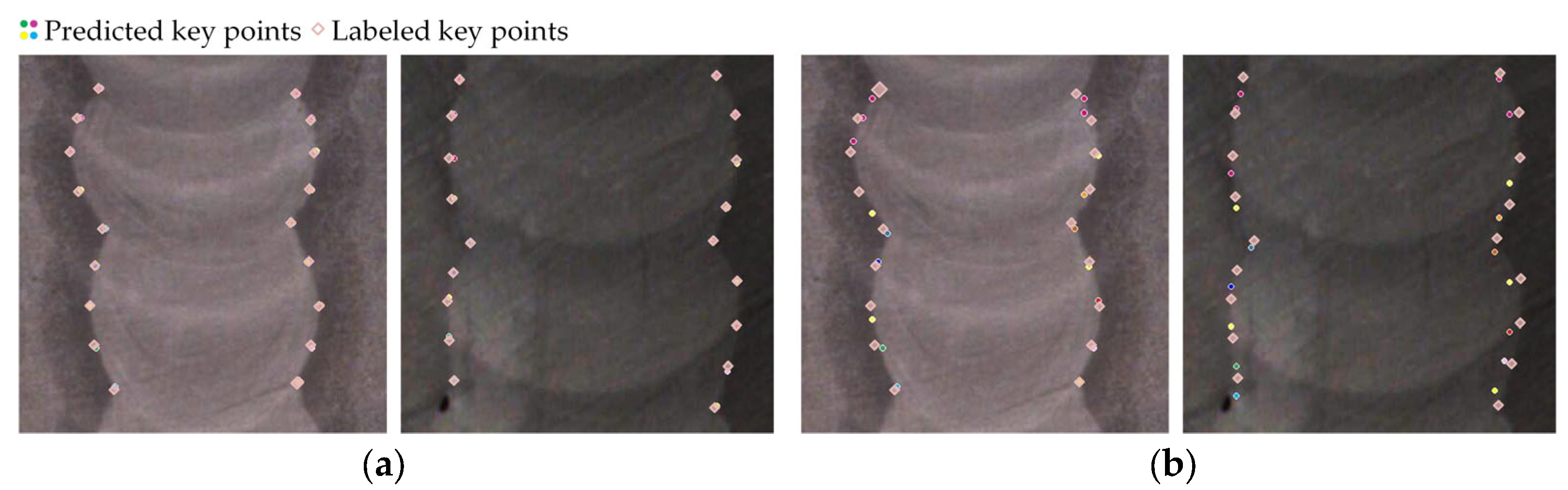 Applsci 13 04455 g011