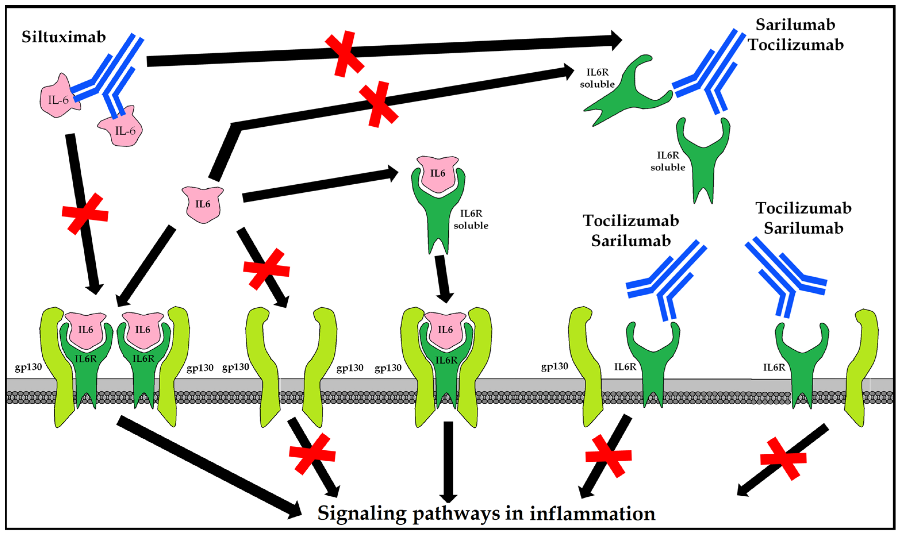 Applsci 13 04471 g007