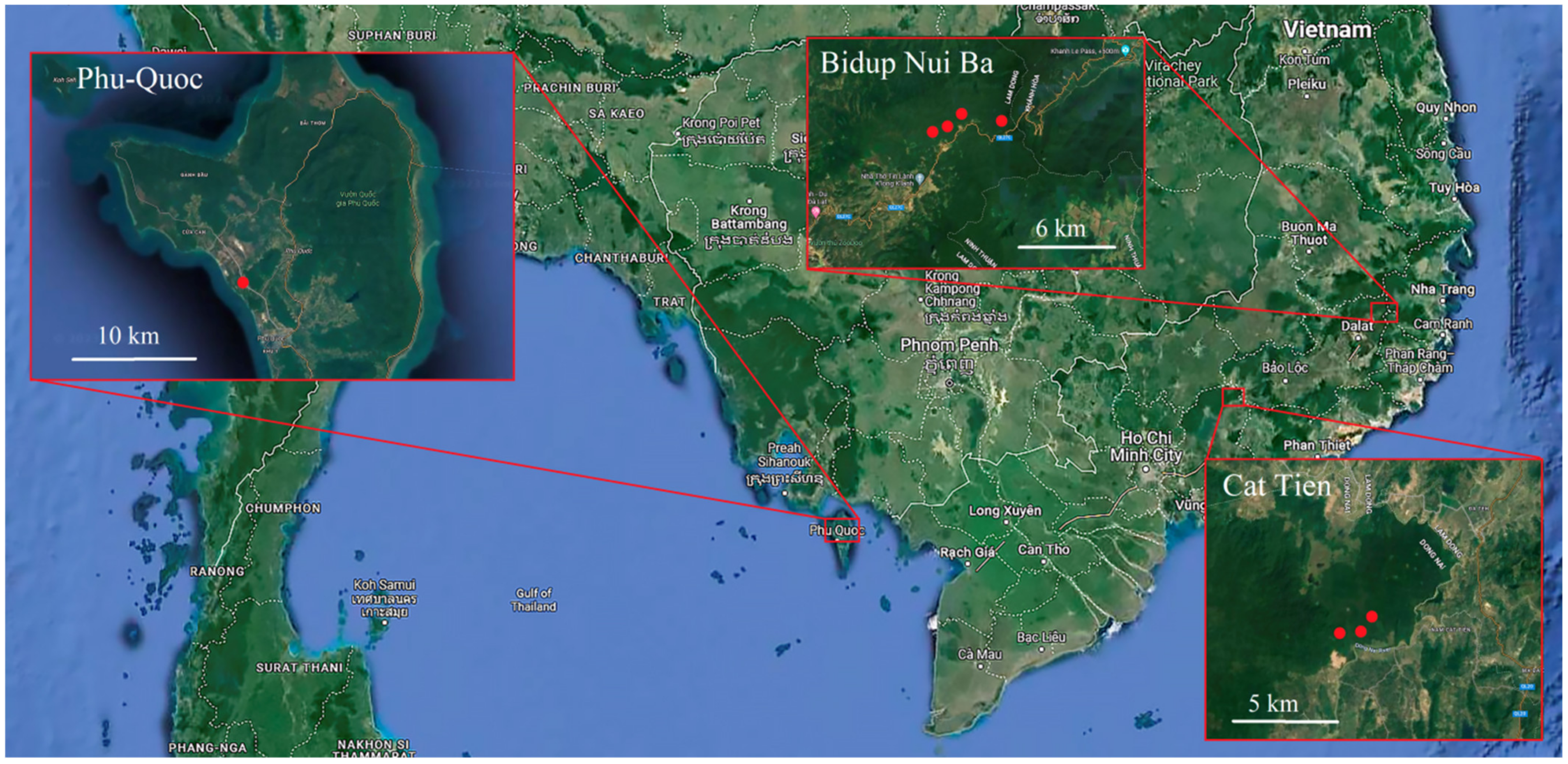 Applsci 13 04473 g001