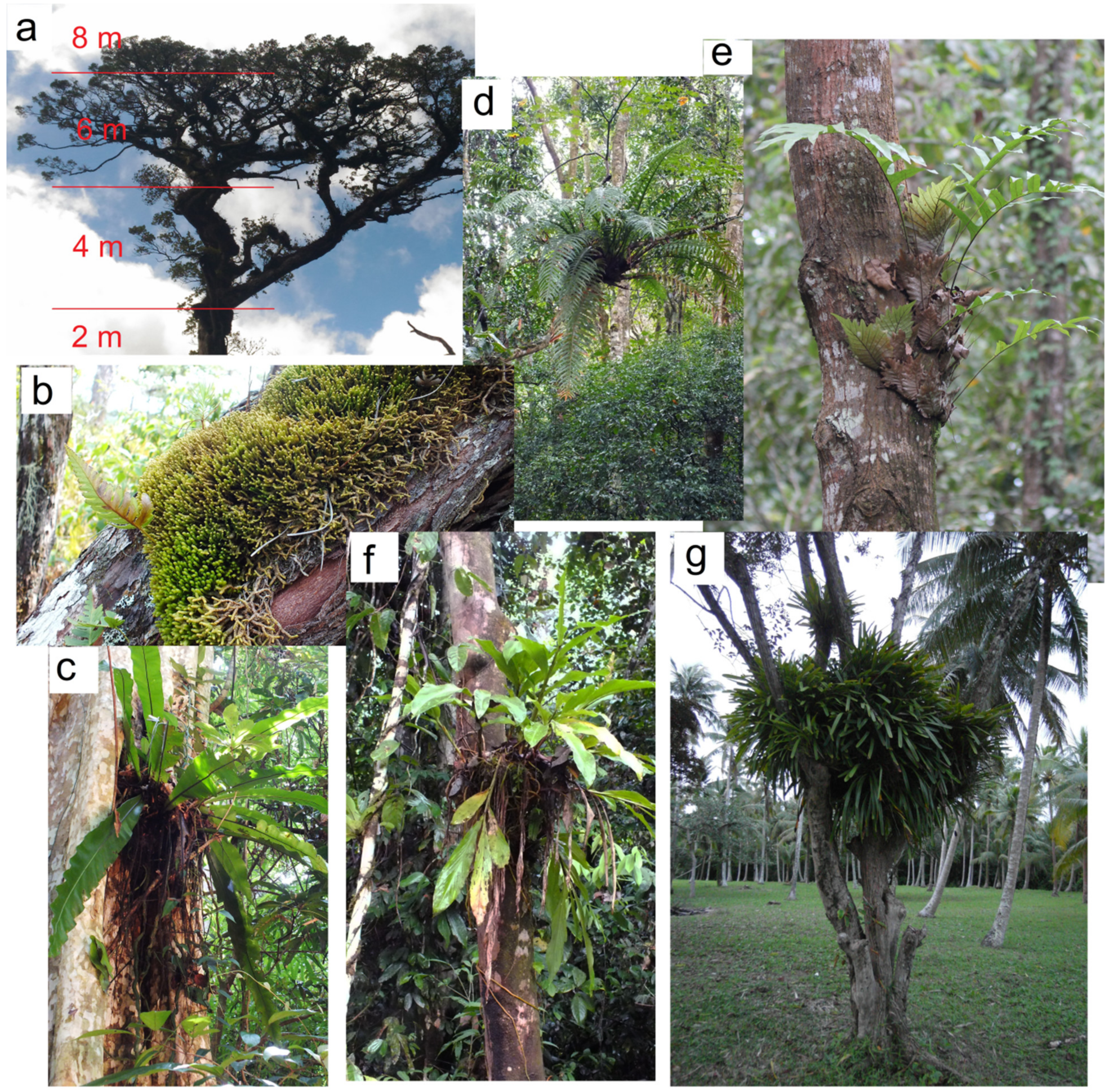 Applsci 13 04473 g002