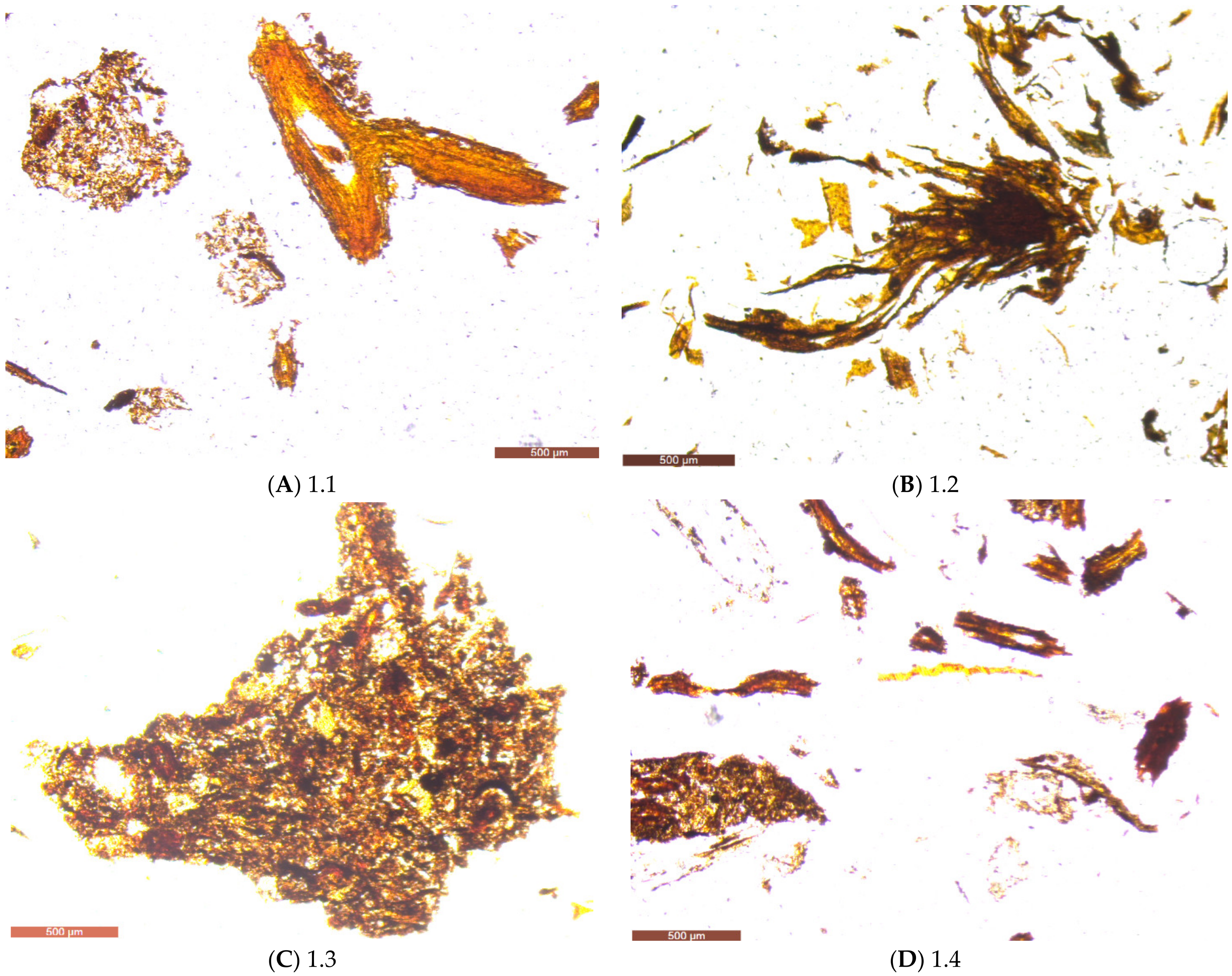 Applsci 13 04473 g003