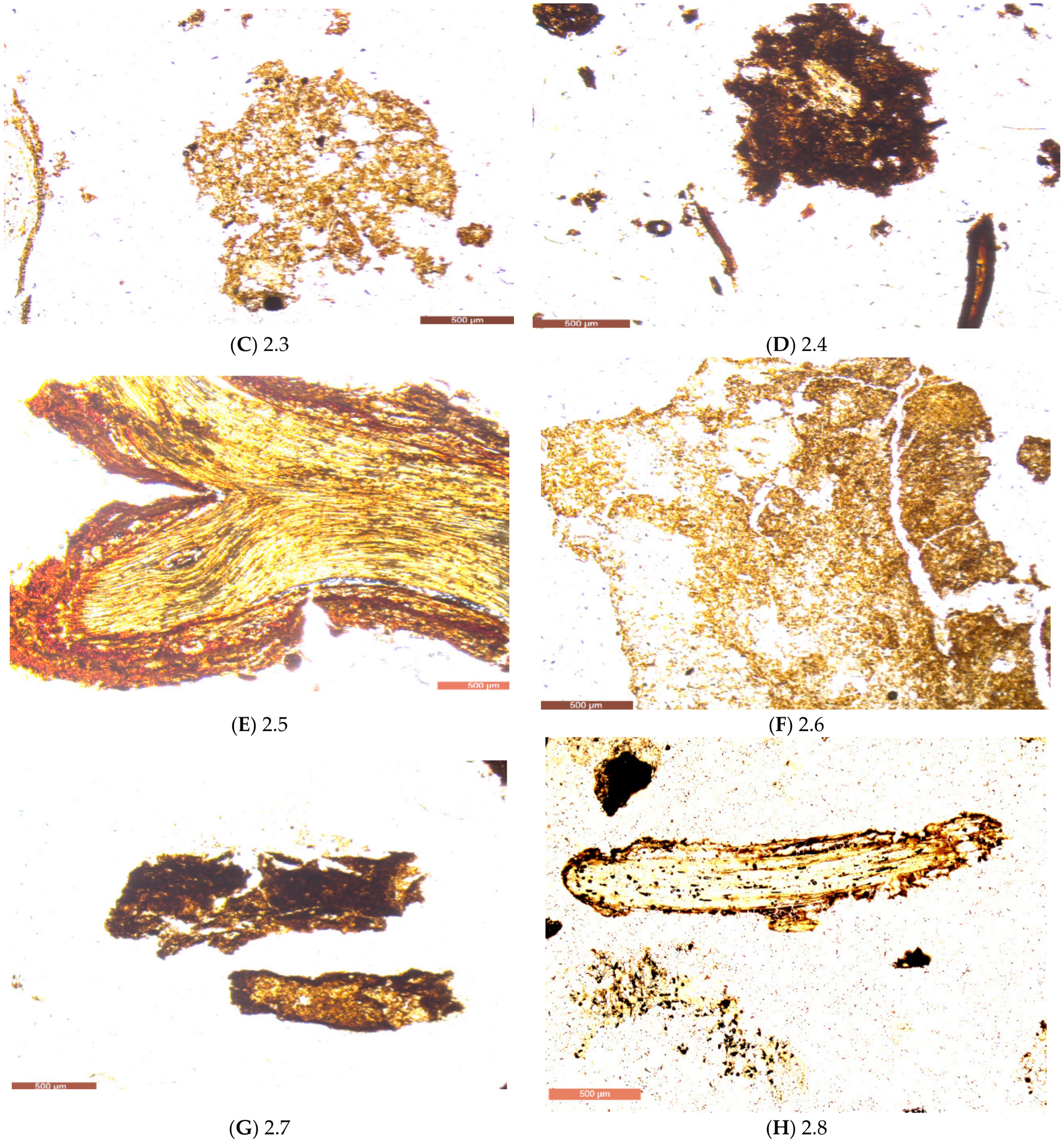 Applsci 13 04473 g004b