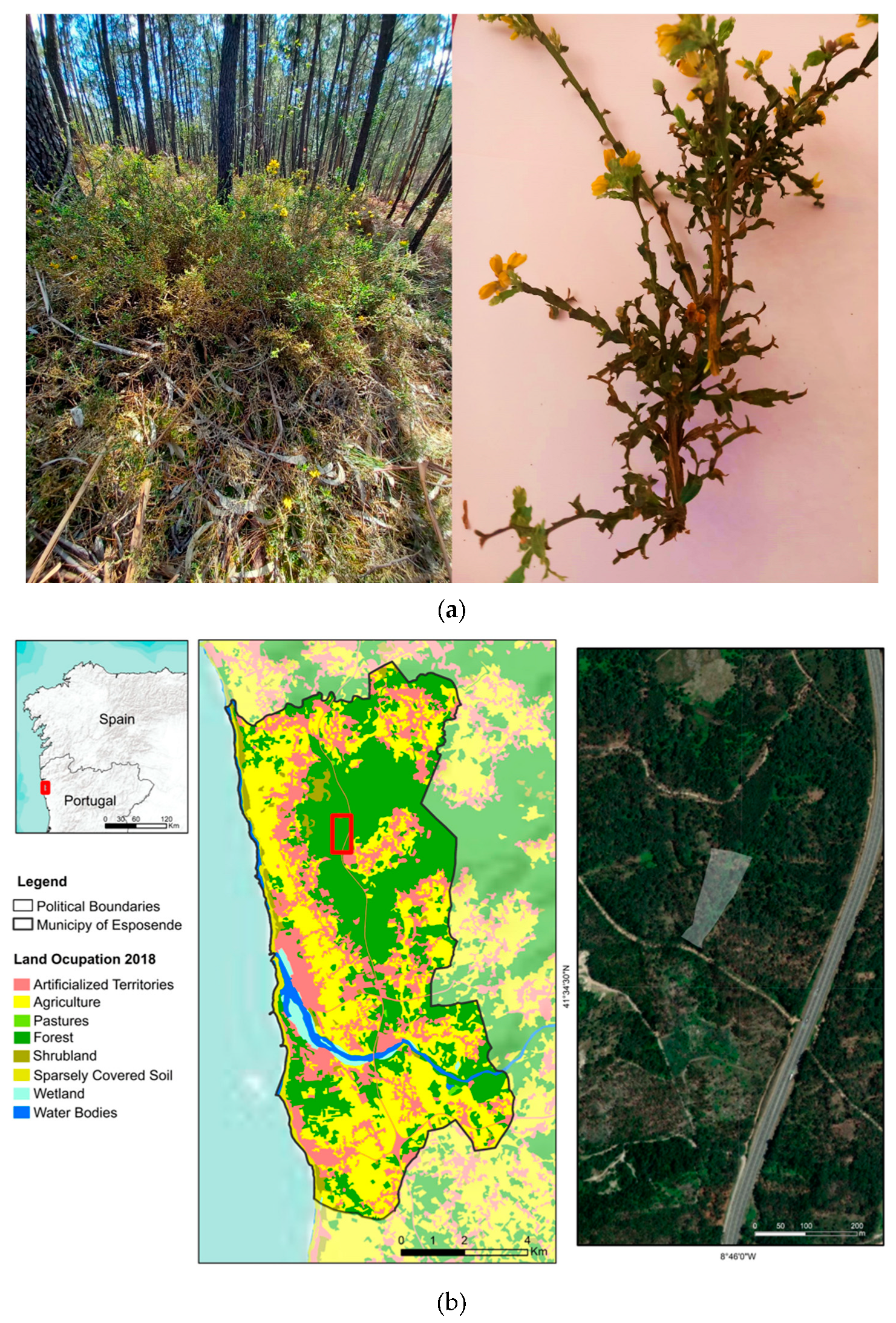 Applsci 13 04494 g001