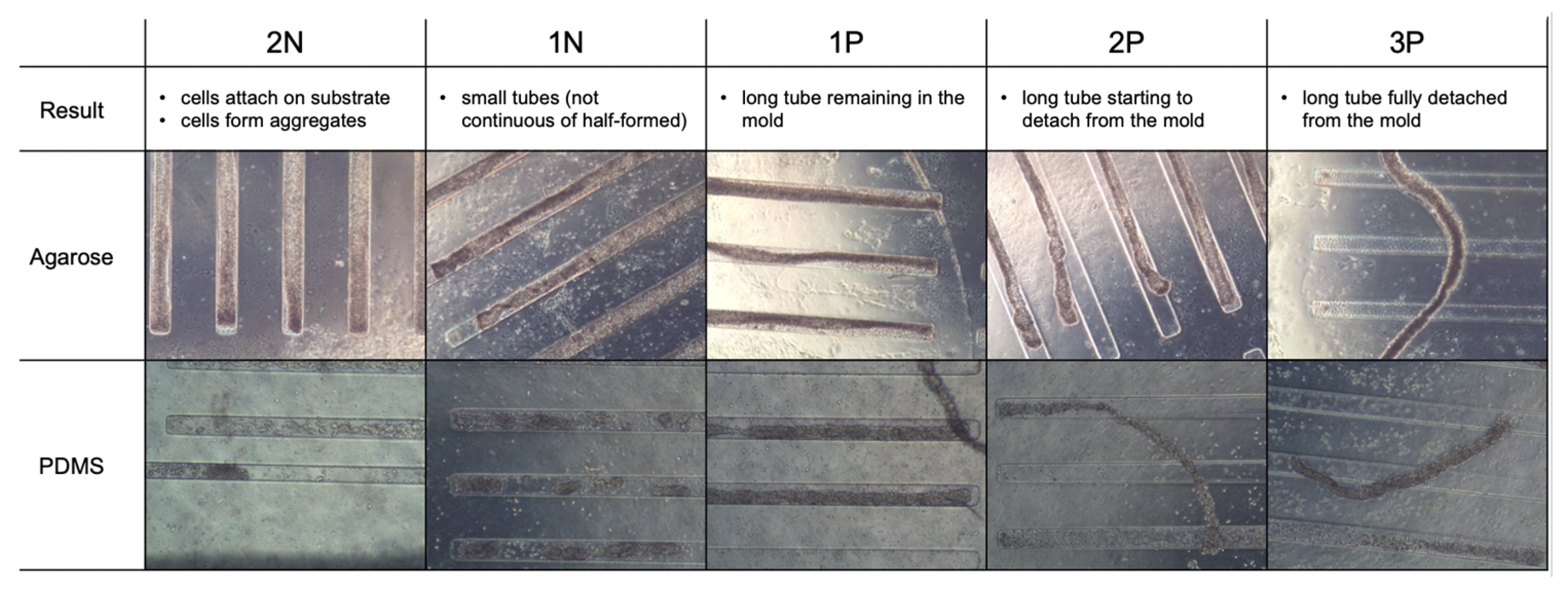 Applsci 13 04510 g003