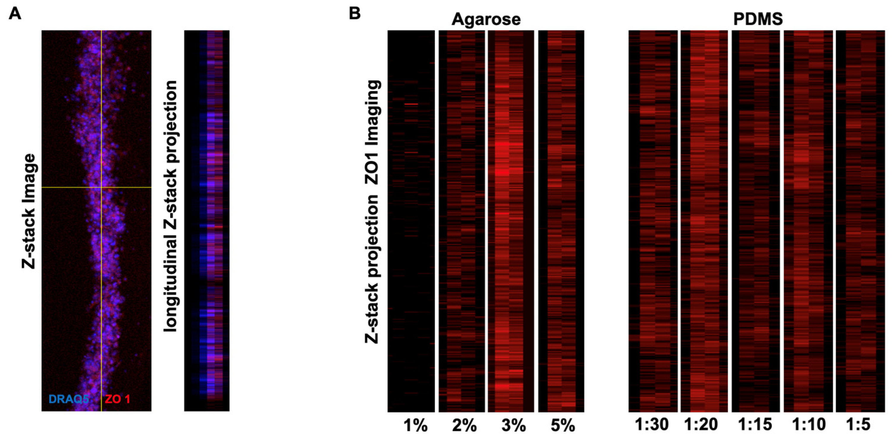 Applsci 13 04510 g006