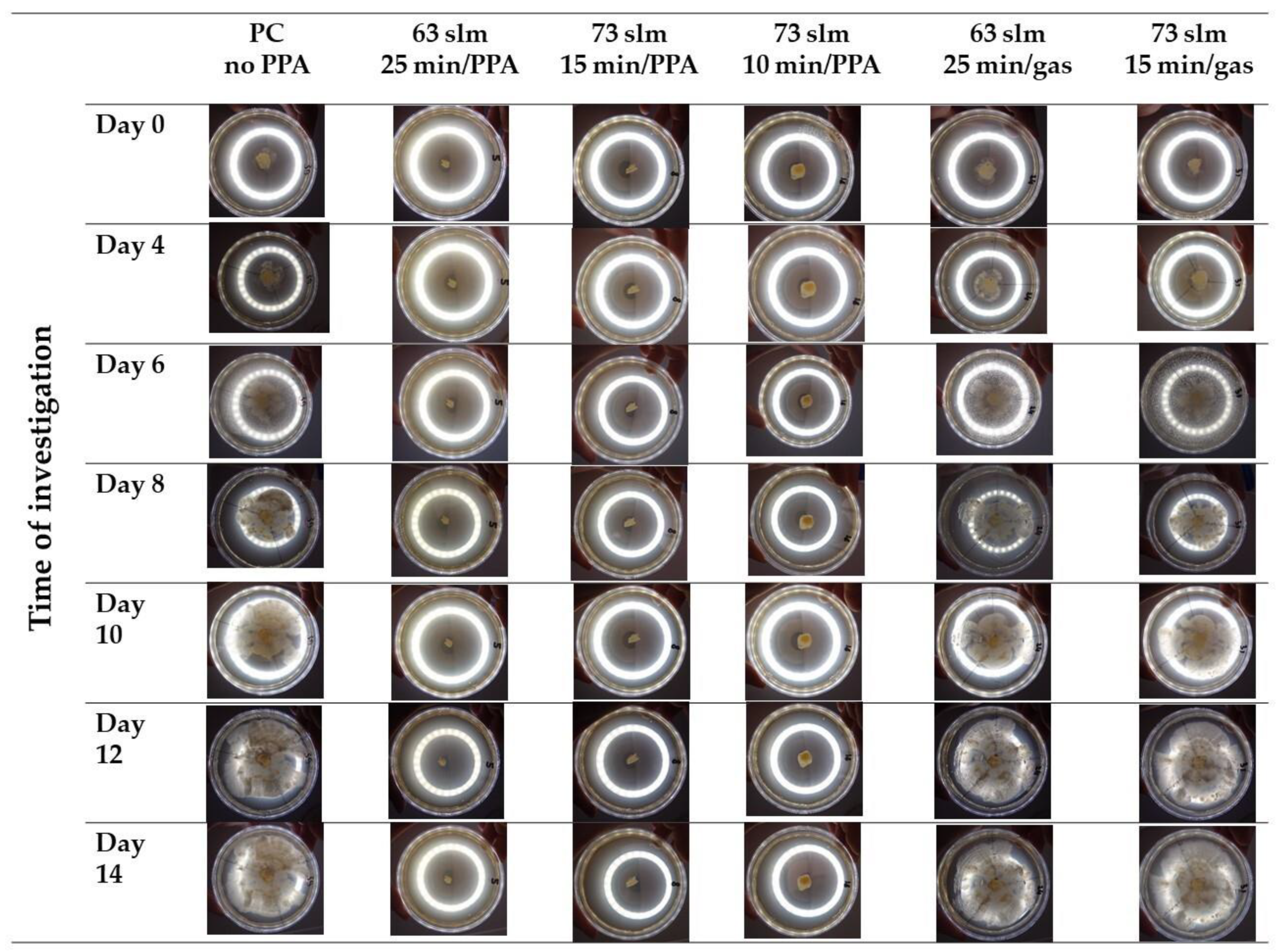 Applsci 13 04511 g001