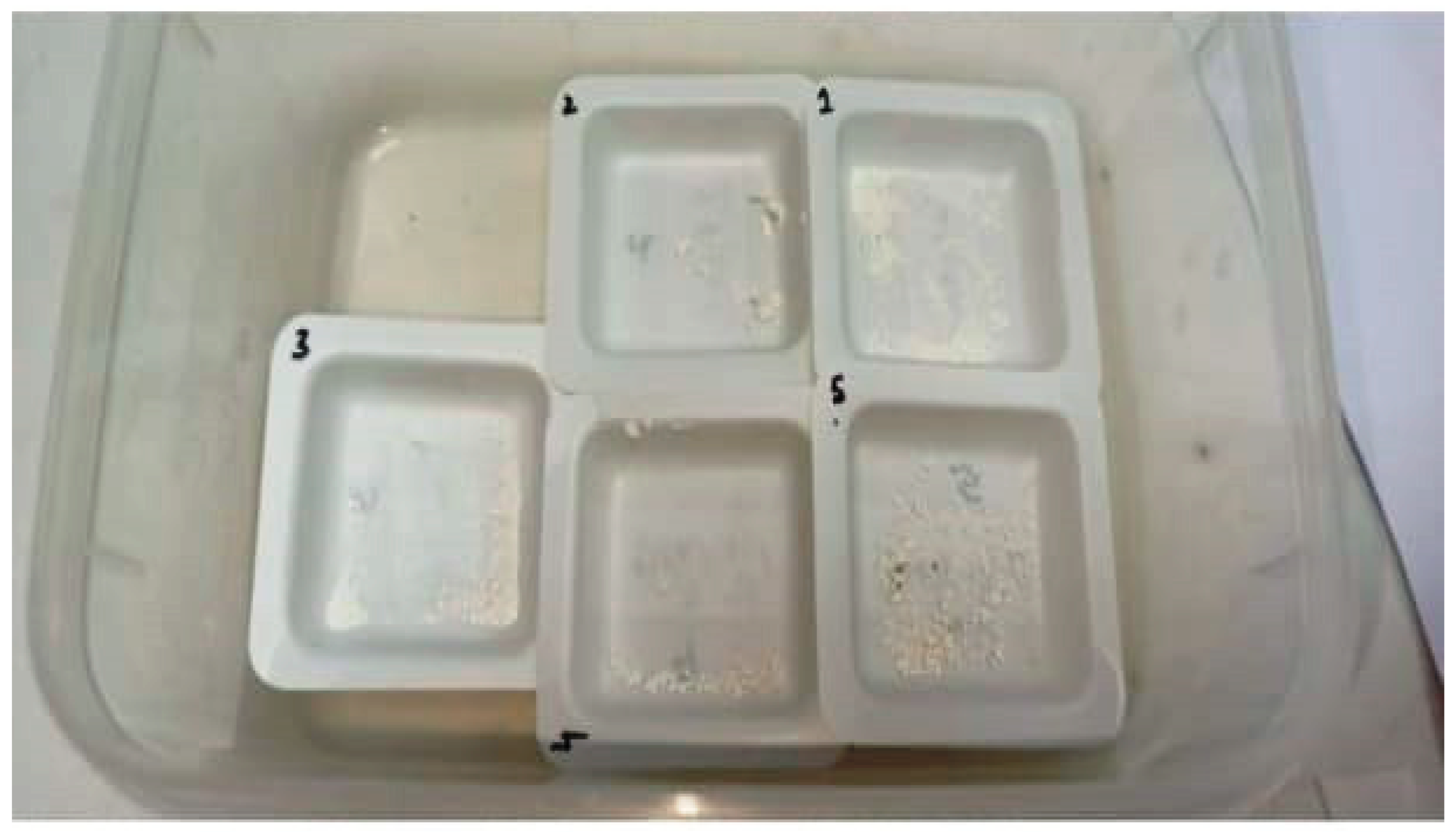 Applsci 13 04517 g001