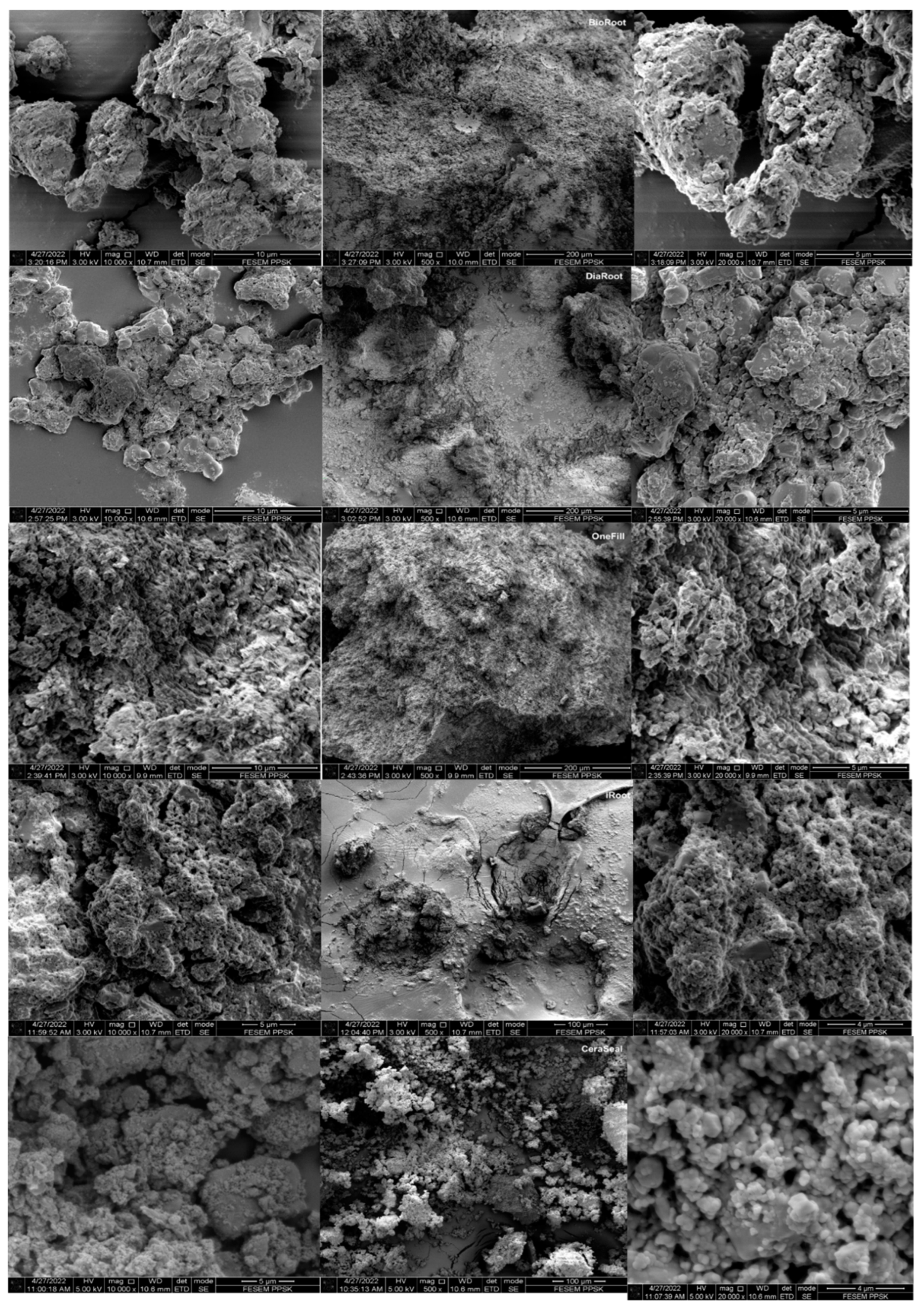 Applsci 13 04517 g003